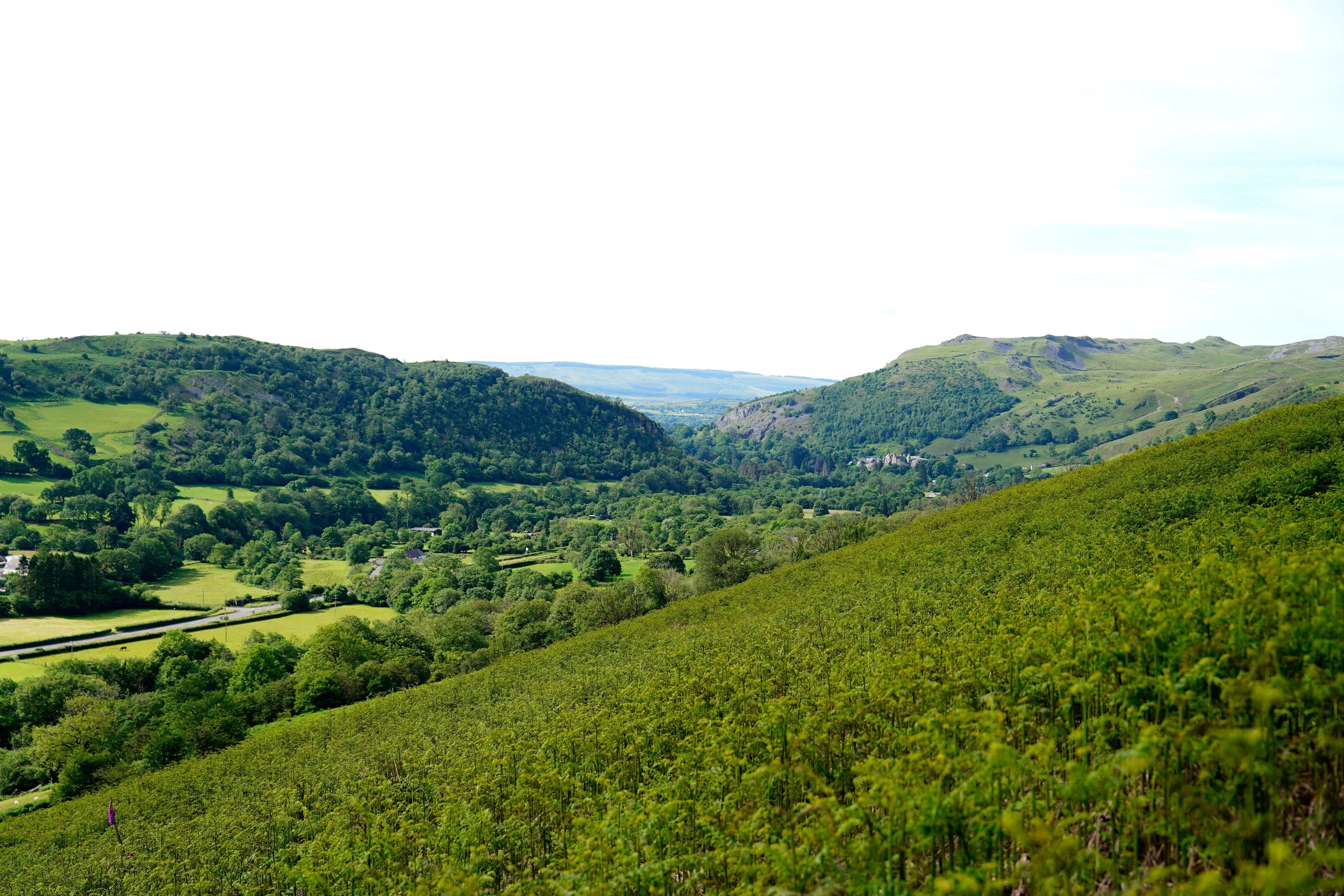 HJBphotography.com_SouthWalesAdventurers_21June__02.jpg