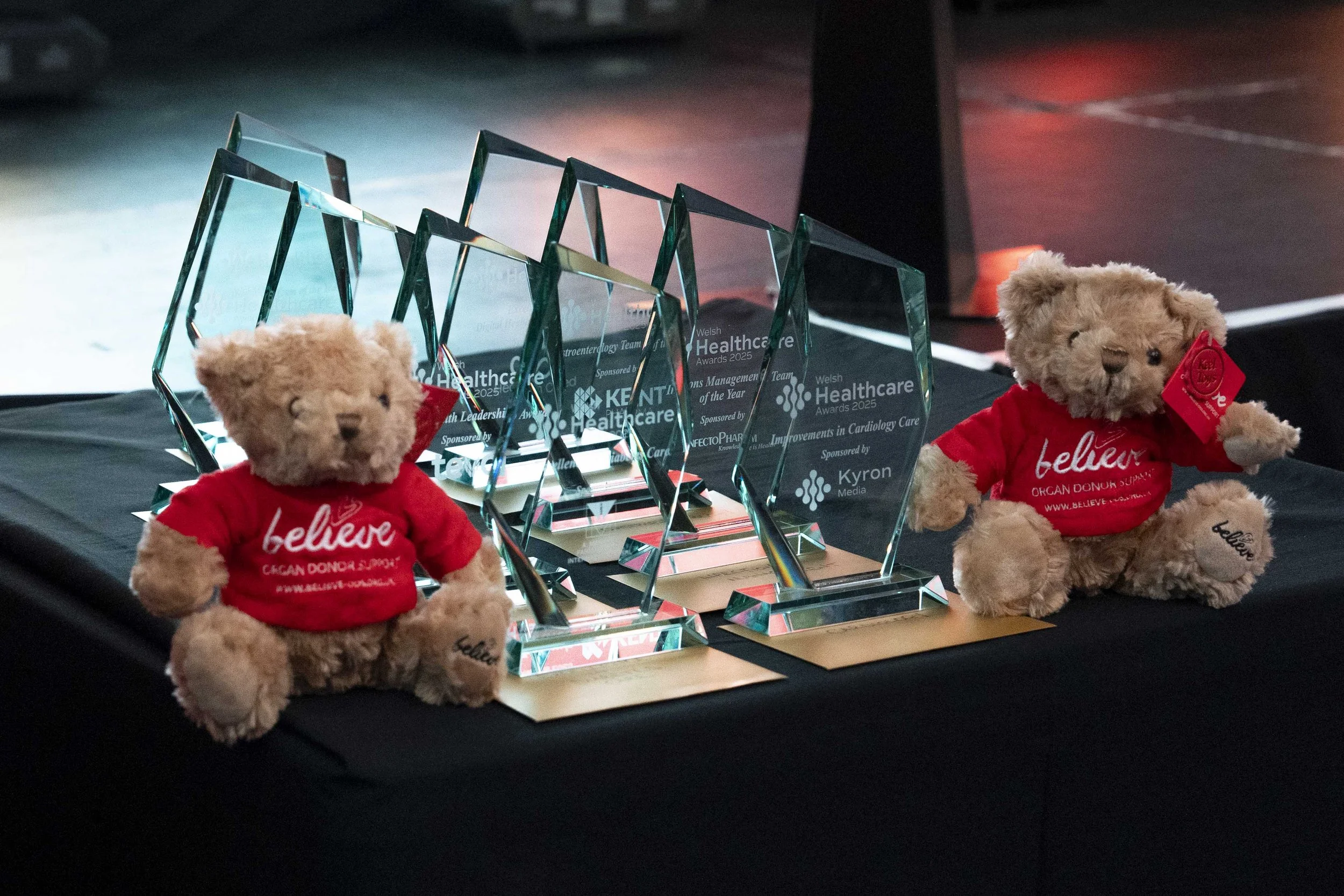 WelshHealthcareAwards2025_Sponsors and The Venue_023_HJBphotography.com.jpg