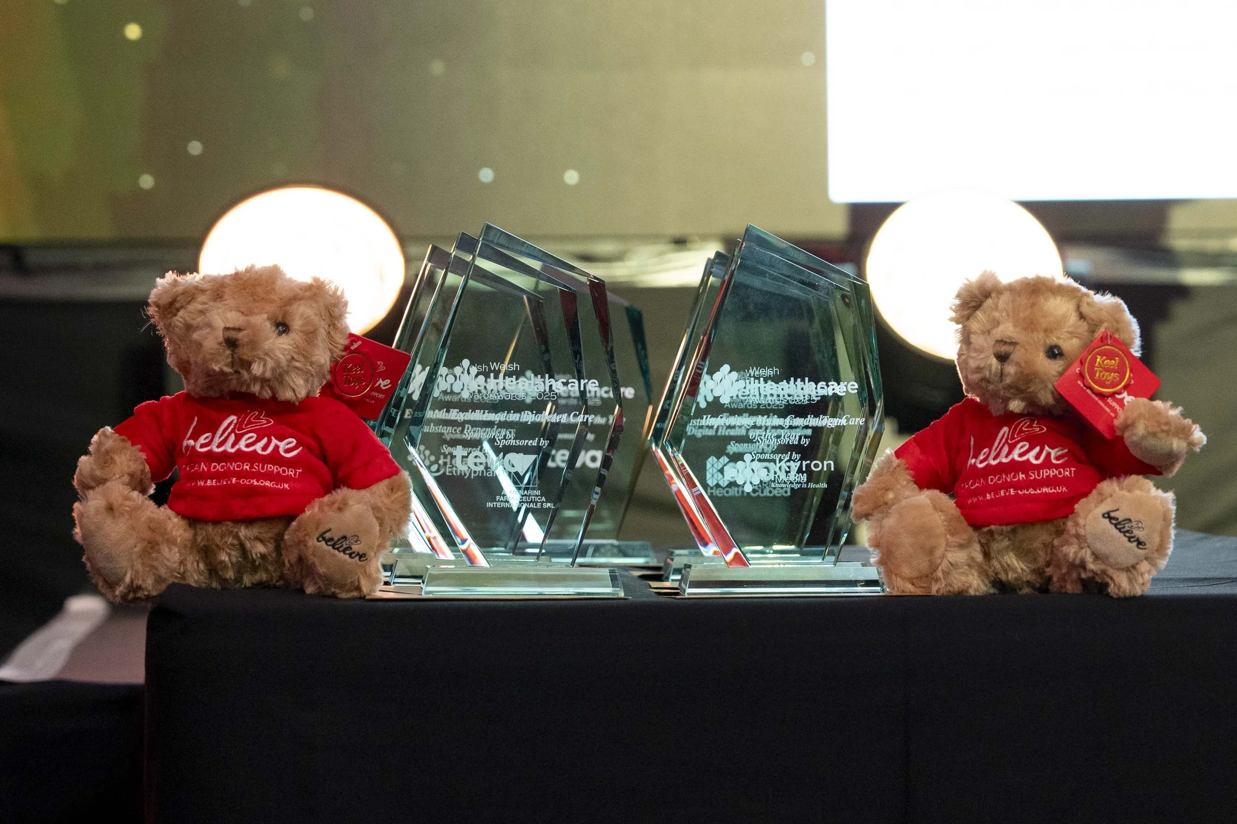 WelshHealthcareAwards2025_Sponsors and The Venue_022_HJBphotography.com.jpg