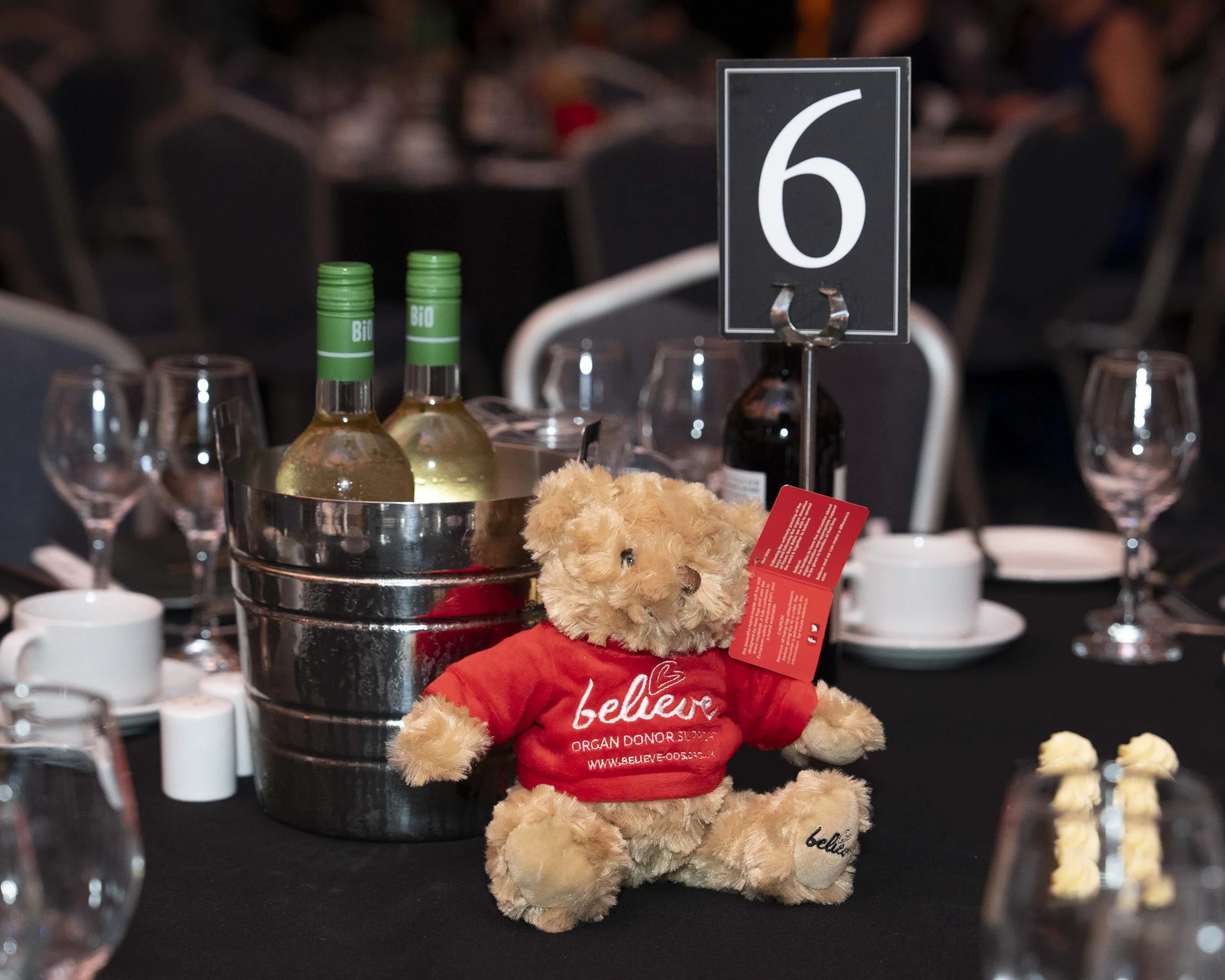 WelshHealthcareAwards2025_Sponsors and The Venue_017_HJBphotography.com.jpg