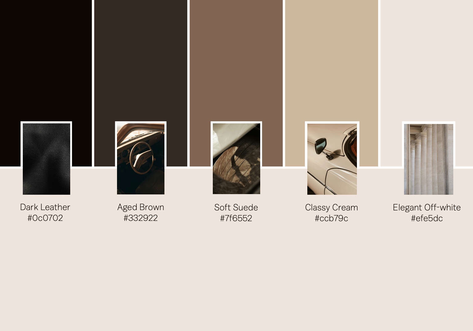 brand-identity-design-color-palet-natural-brown.png