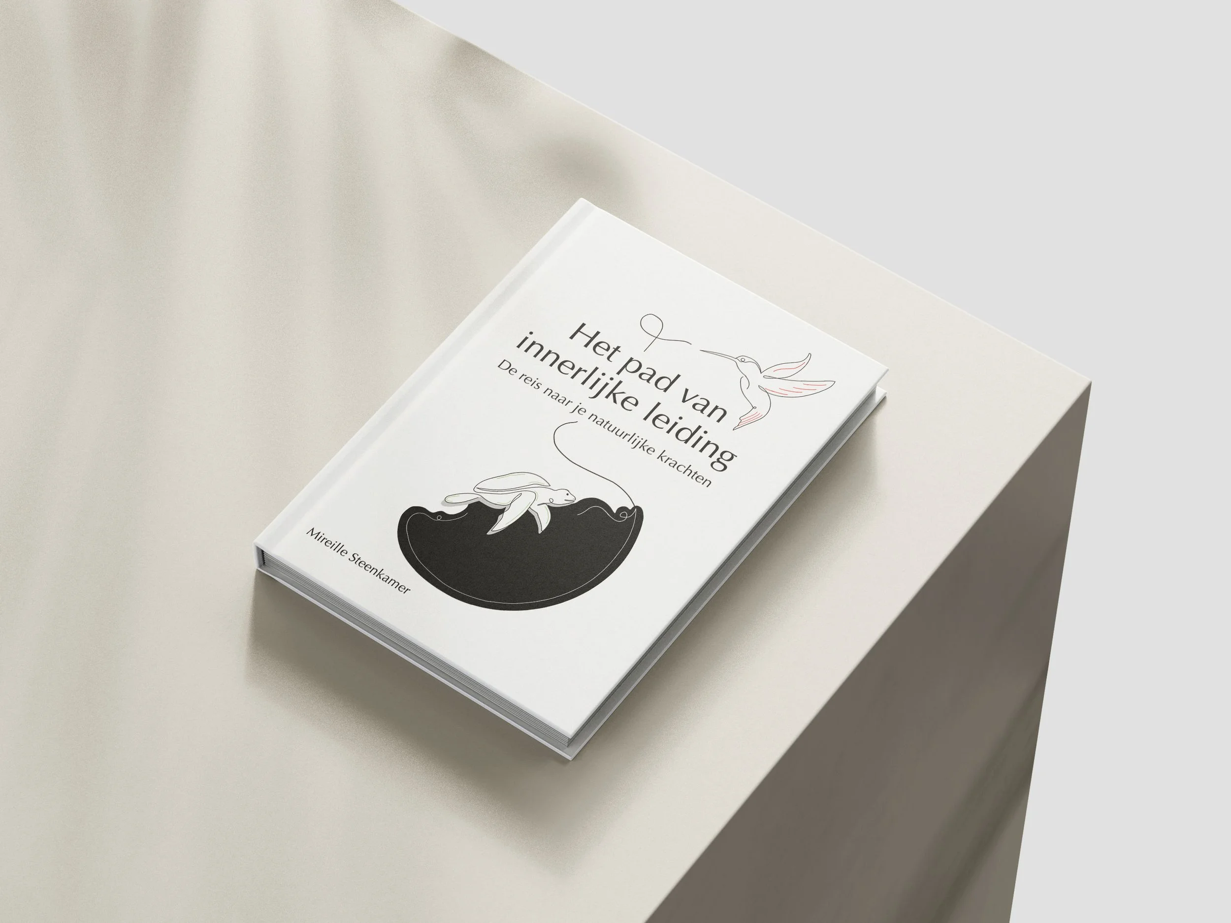 book-cover-design-mireille-steenkamer.jpg