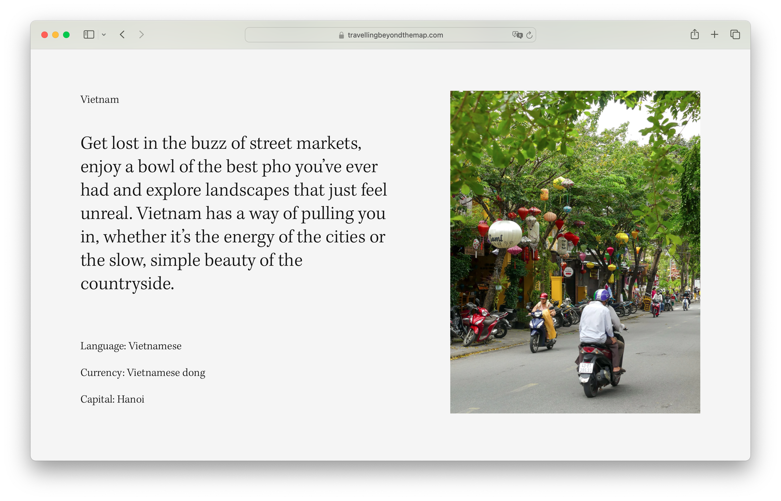 website-designer-squarespace-steenkamer.png