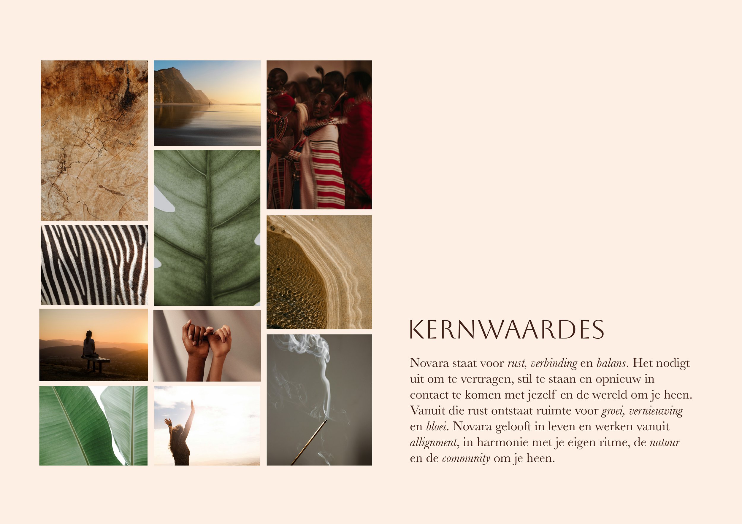 branding-brand-design-novara-wellness.jpg