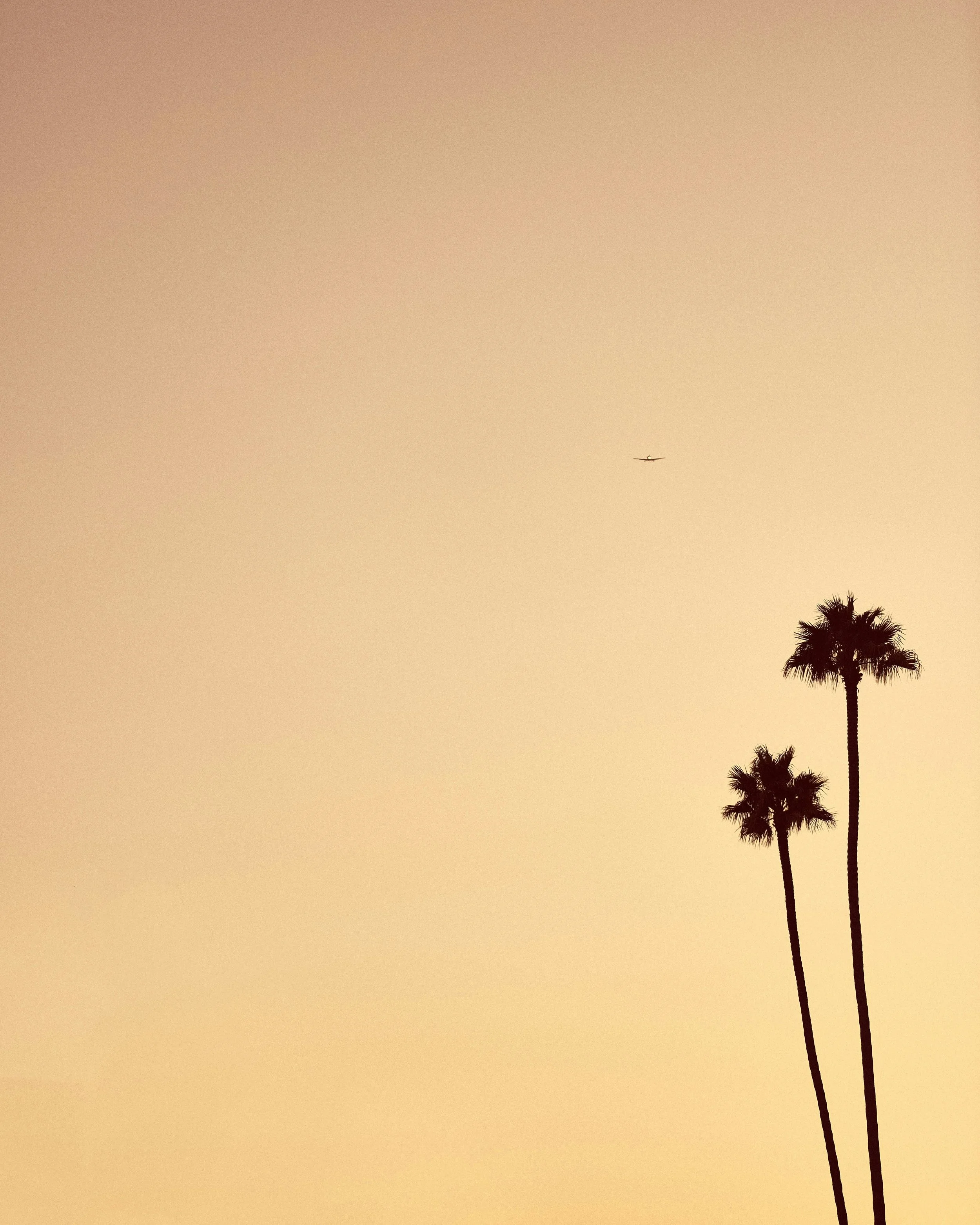 branding-imagery-wellness-travel-brand.jpg