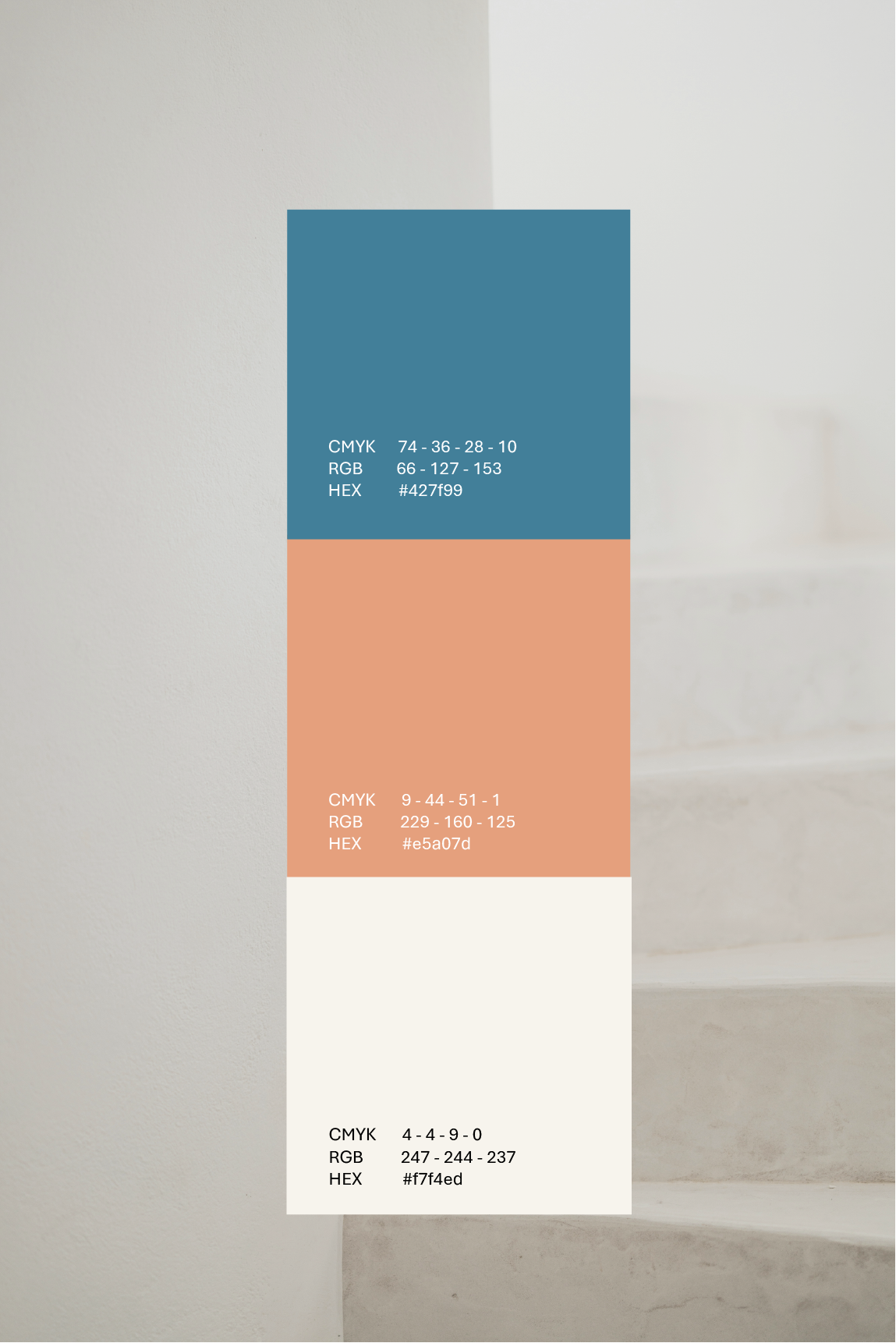 color-palet-brand-identity-designer.png