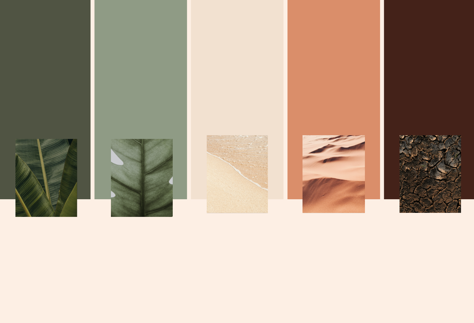 brand-identity-design-color-palet-wellness-brand.png