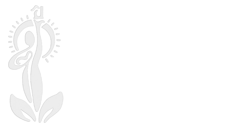 The Healing Center | Brooklyn, NY