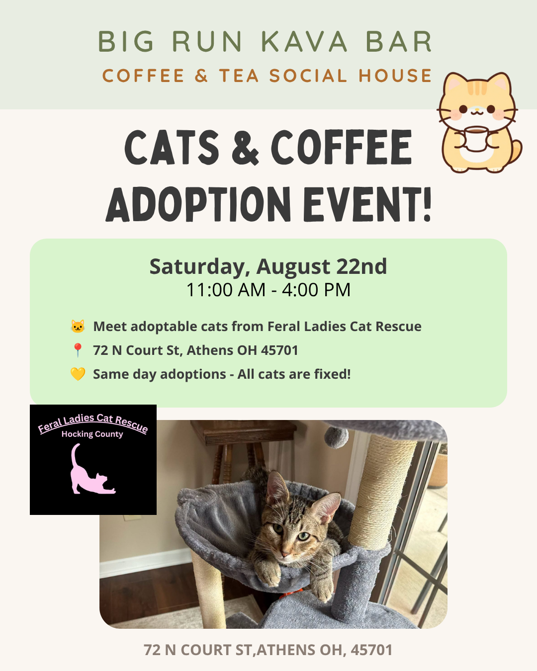 Cats & Coffee: Adoption Event