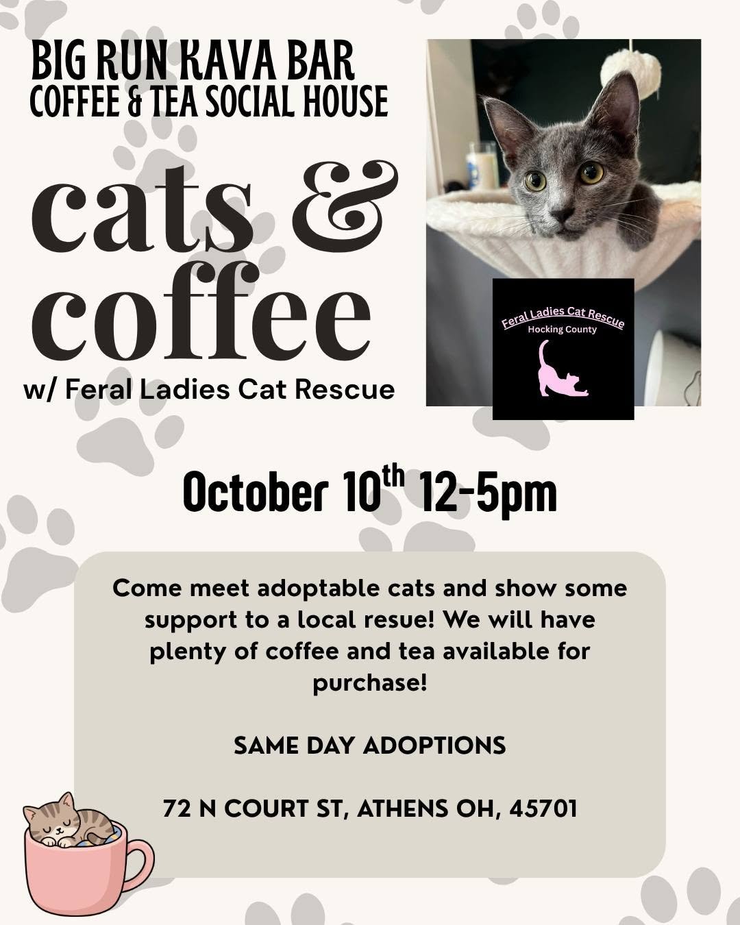 Cats & Coffee: Adoption Event