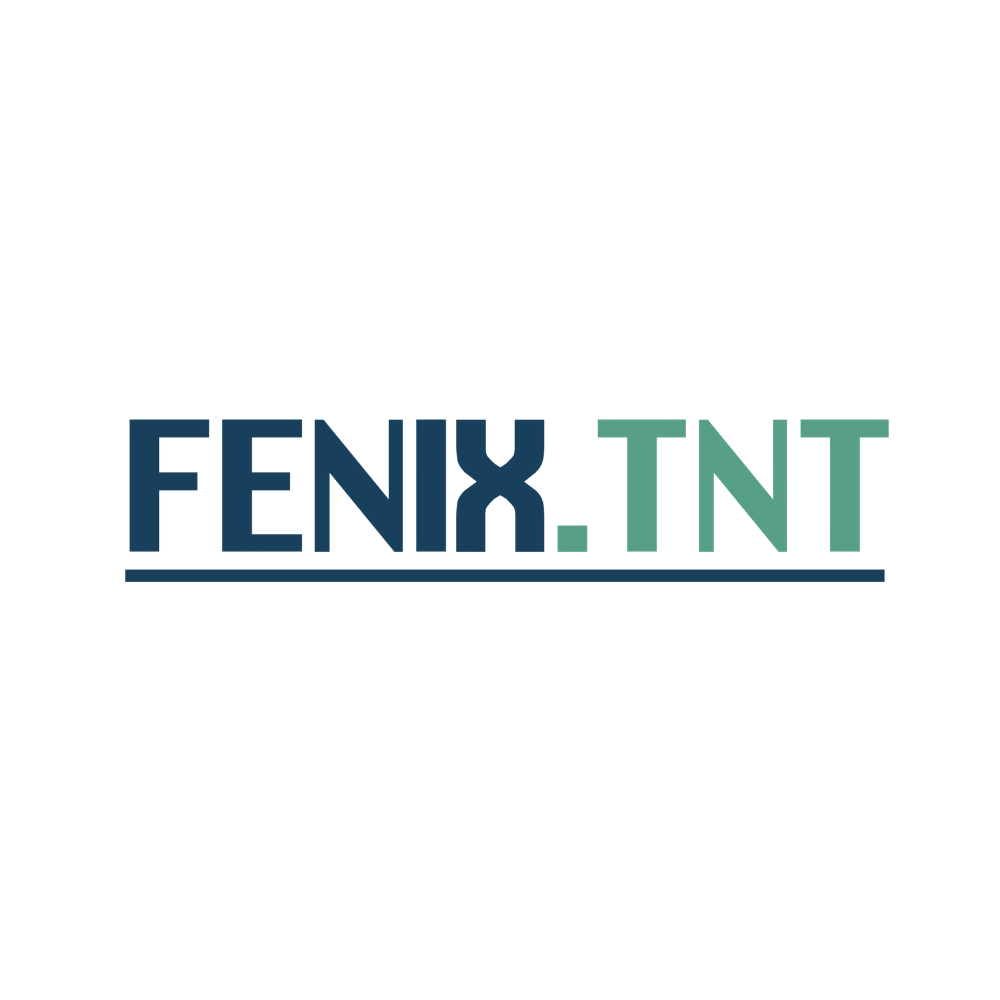 FENIX.TNT logo with the tagline 'tvořivost nad technologií'