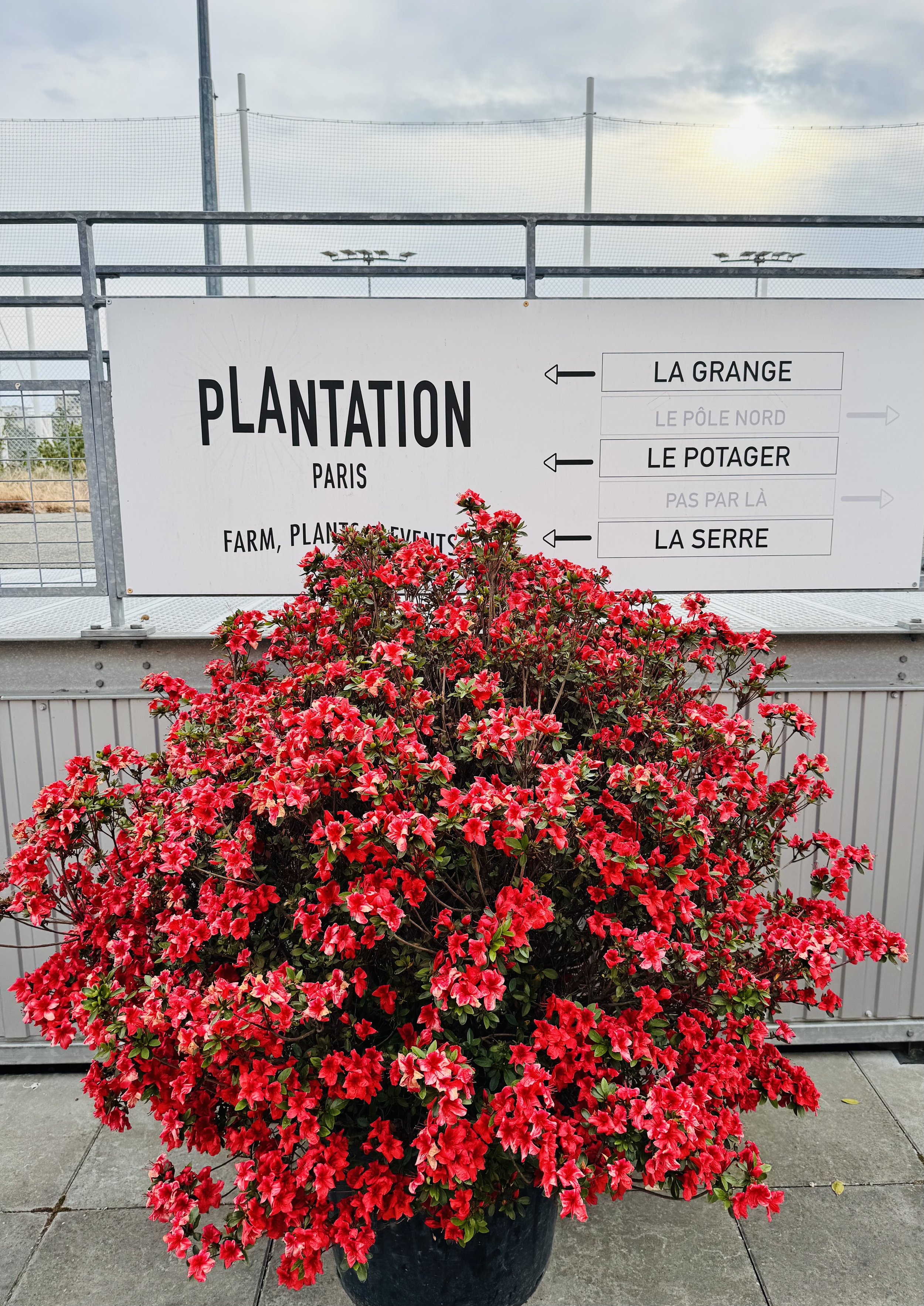 Plantation