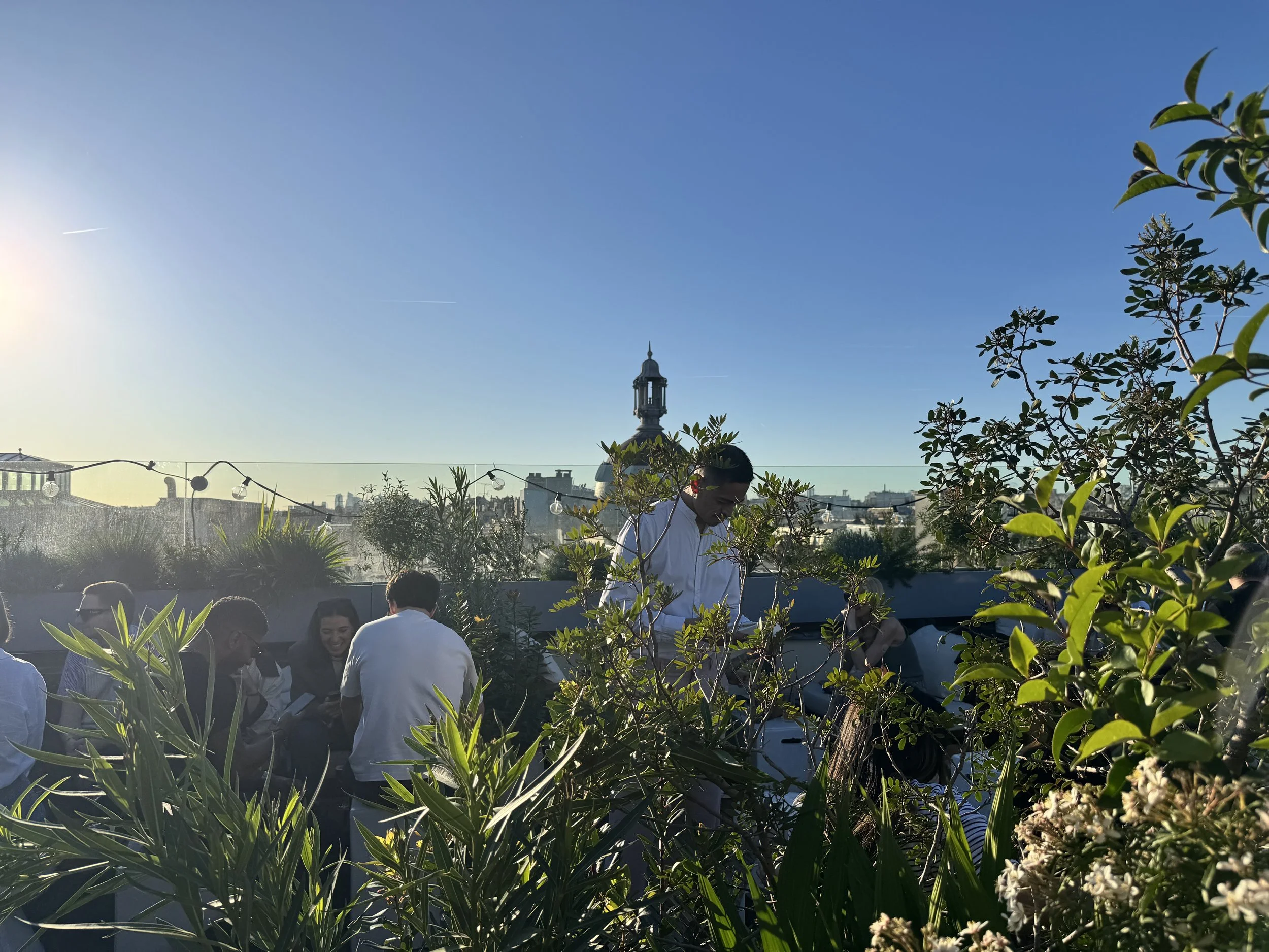 IMG_2623.jpeg