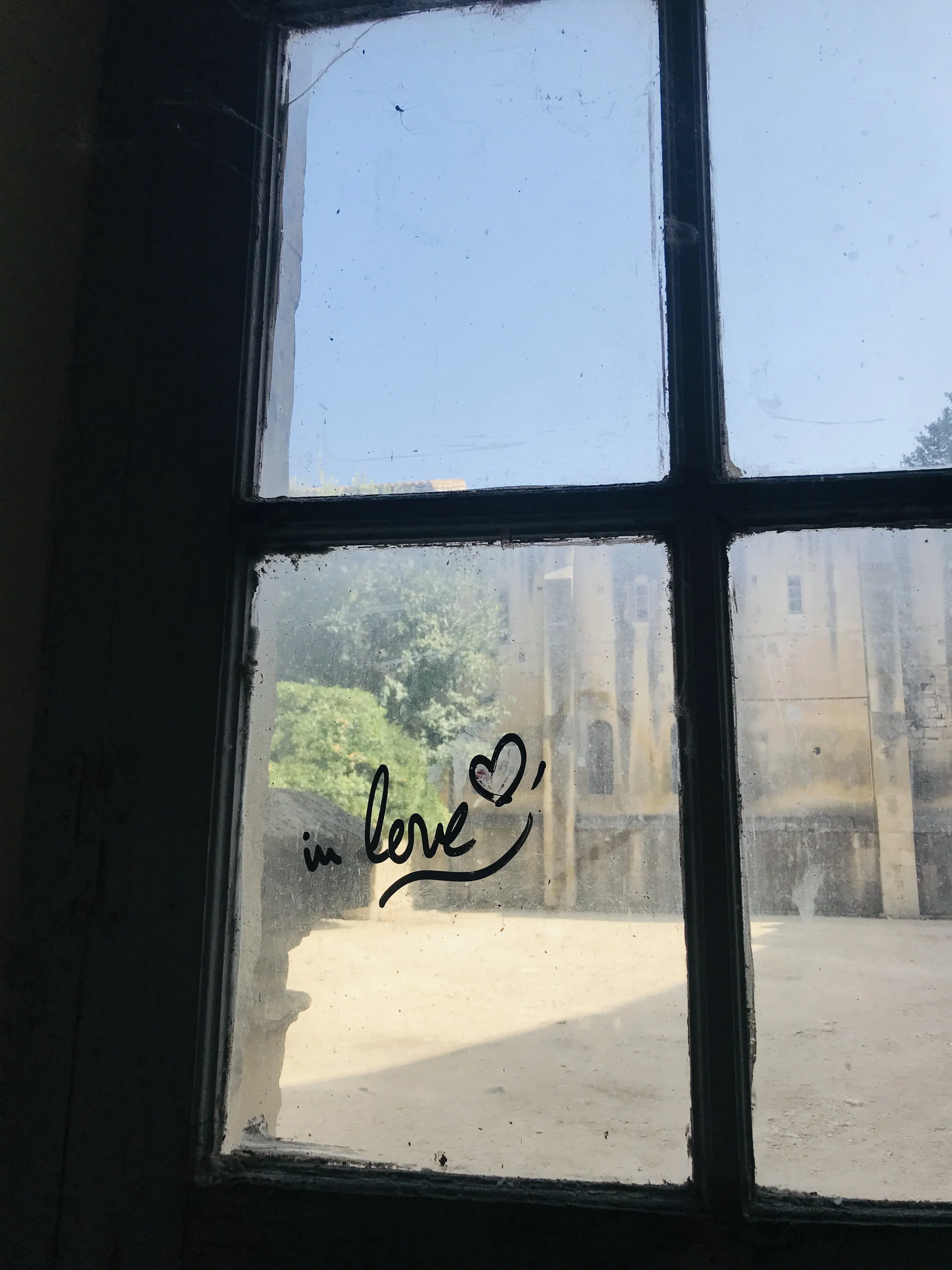 IMG_9610.jpeg