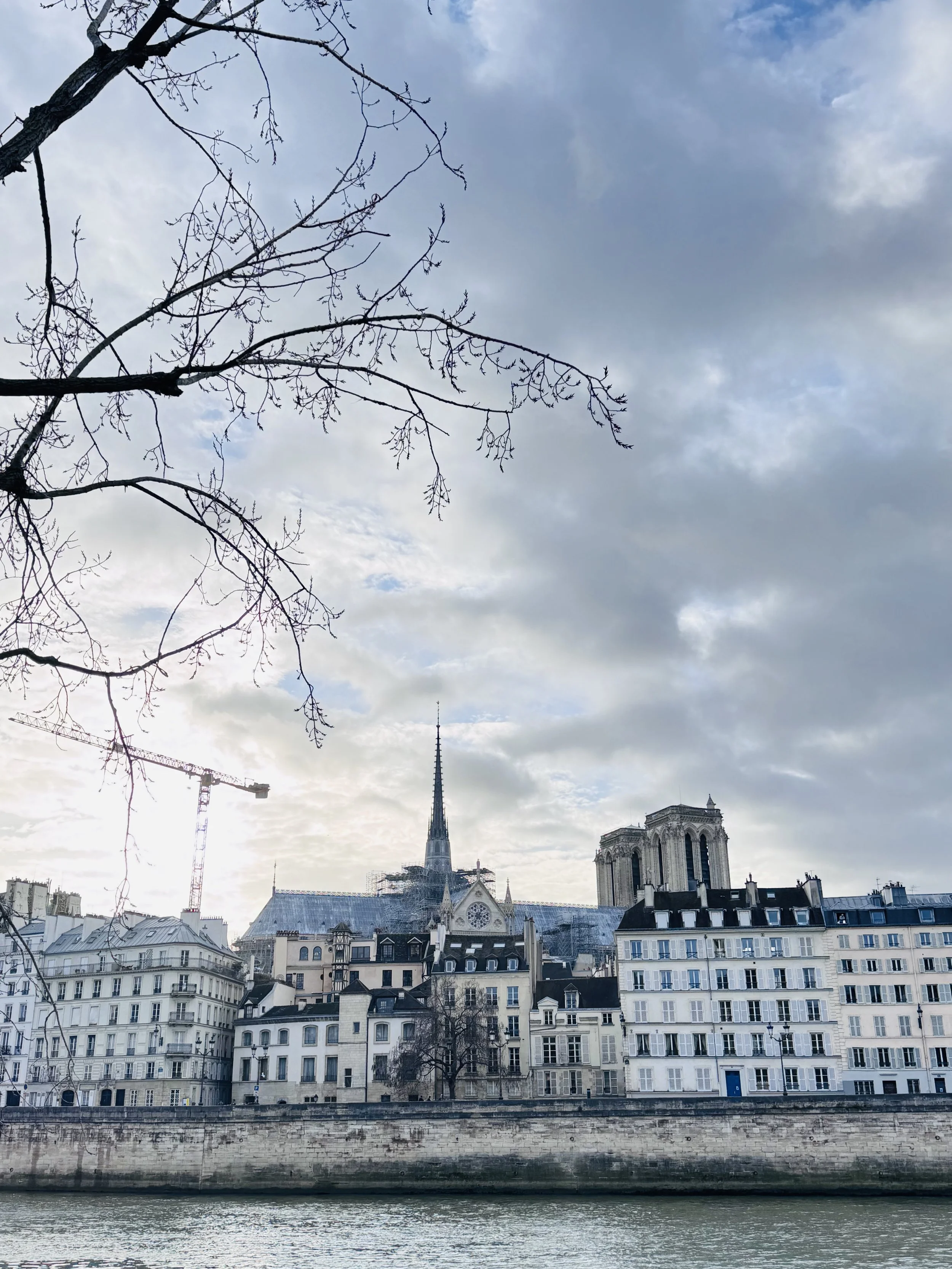Paris skyline with Notre-Dame Cathedral and the Seine River in the foreground, under a cloudy sky, leafless tree branches in the upper left corner.