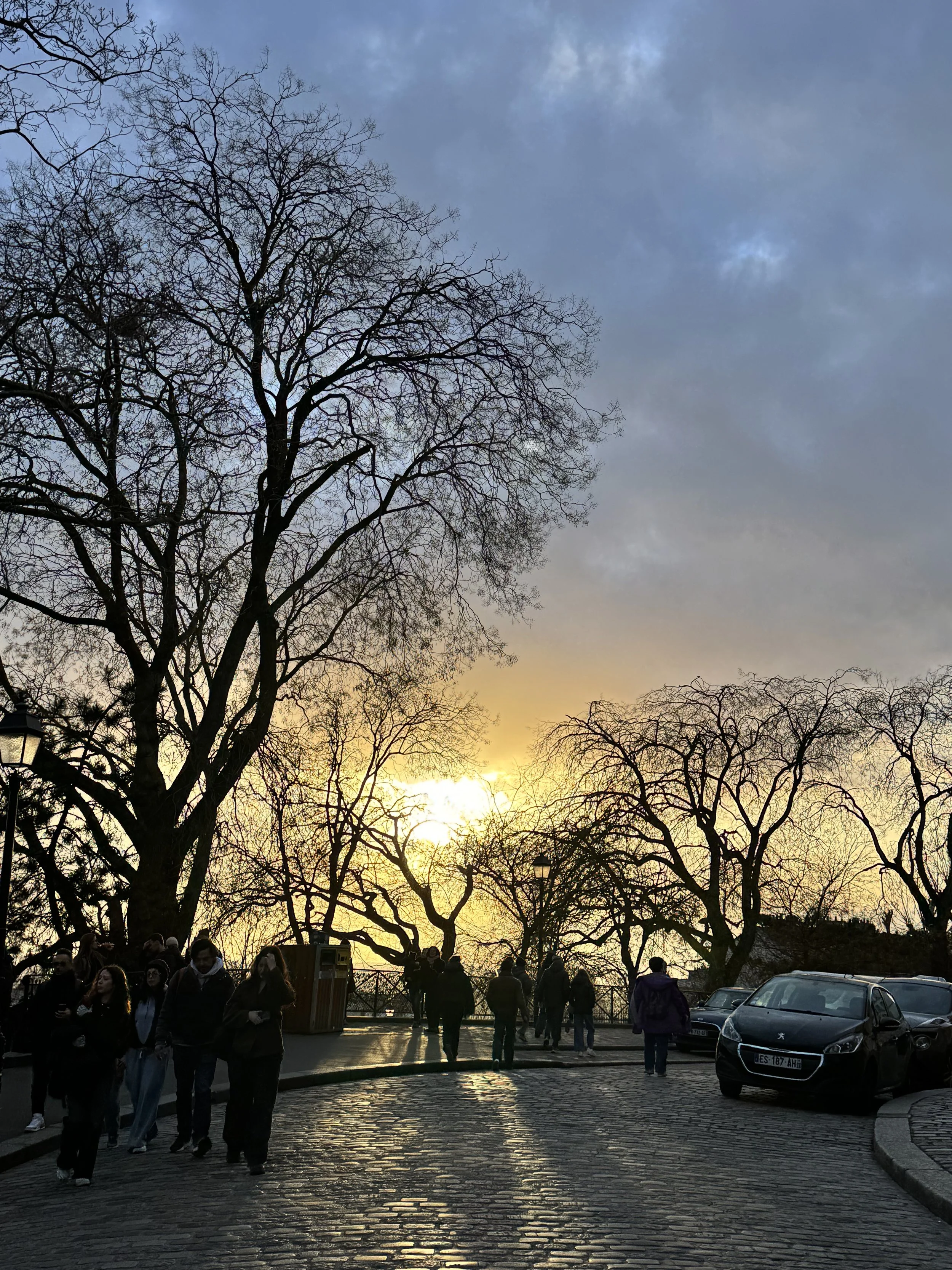 People walking on a cobblestone street with leafless trees at sunset.