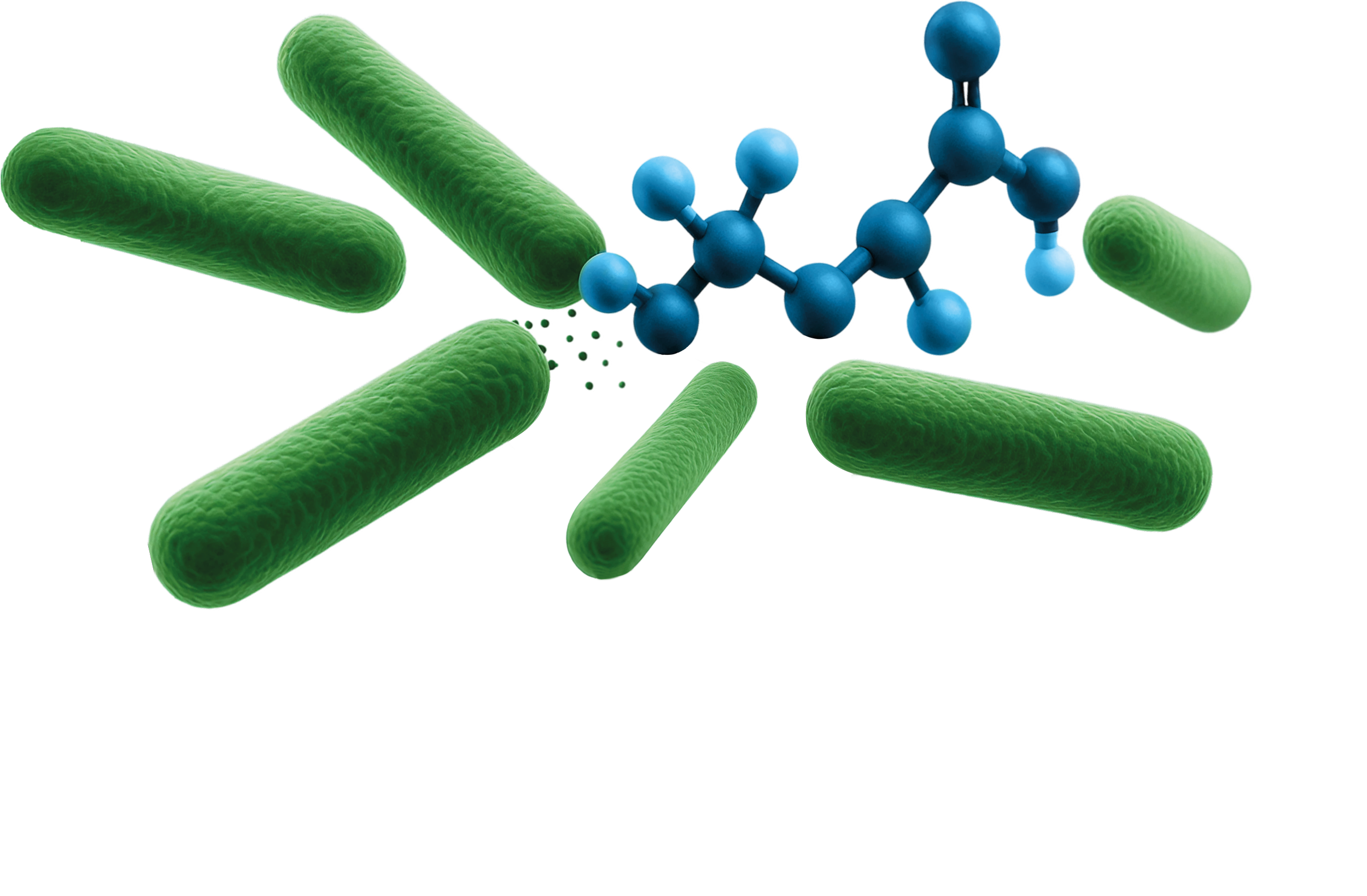 CellX Biosolutions | Explore Sustainable Waste Solutions