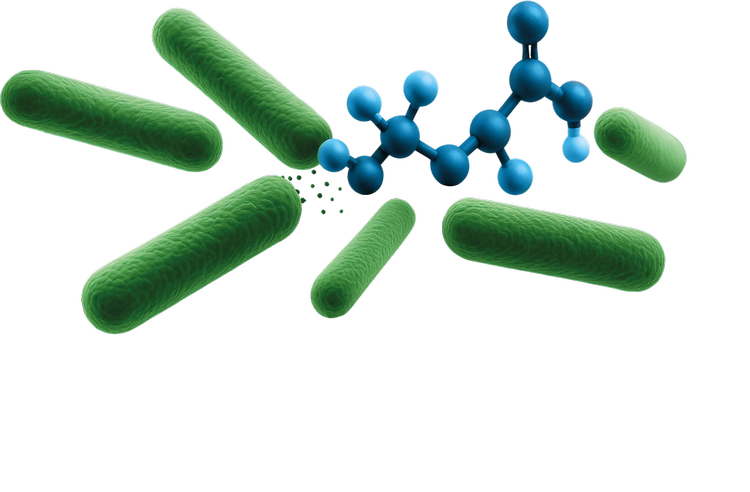 CellX Biosolutions | Explore Sustainable Waste Solutions