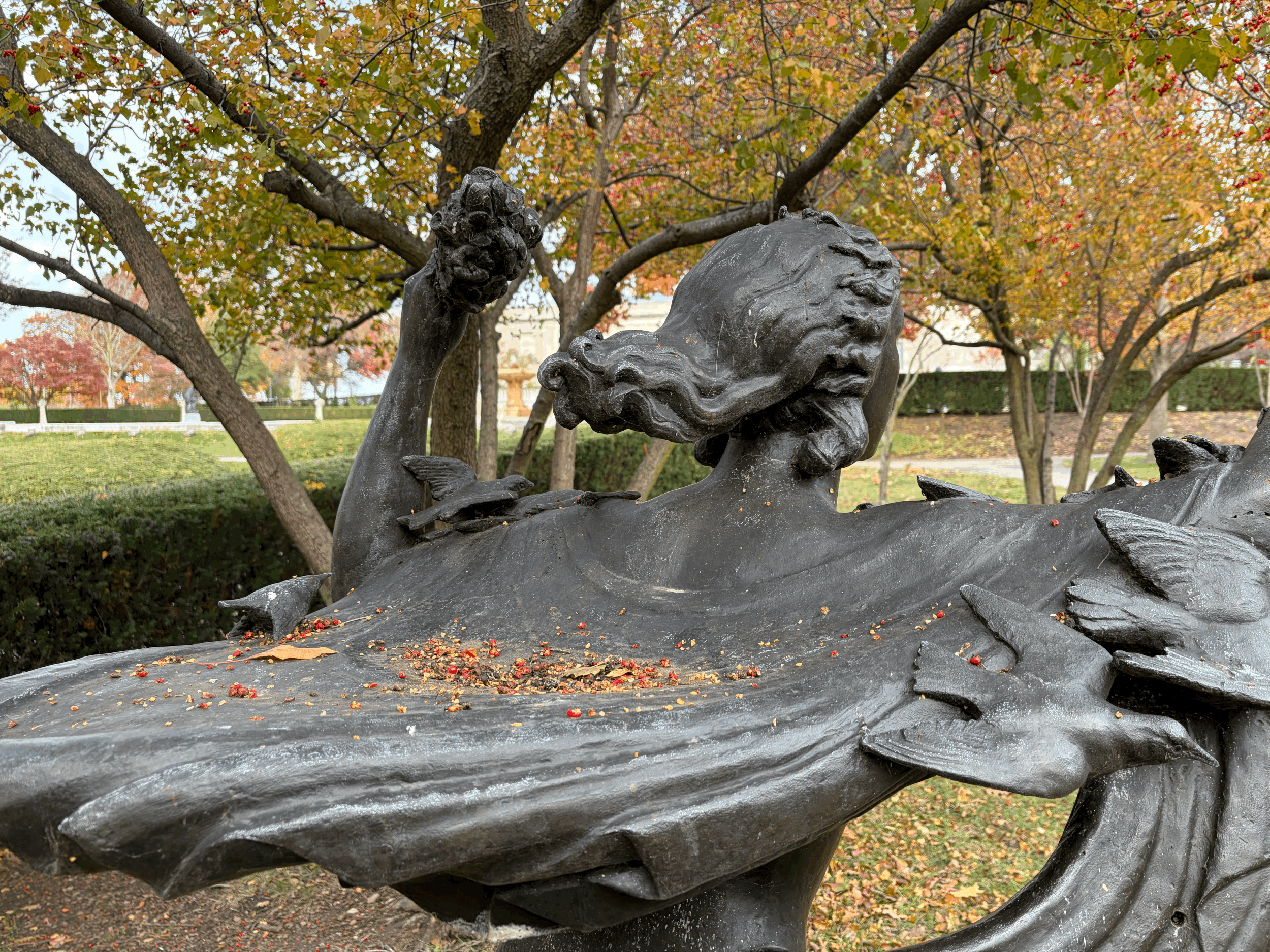 Patteson Bird Sanctuary