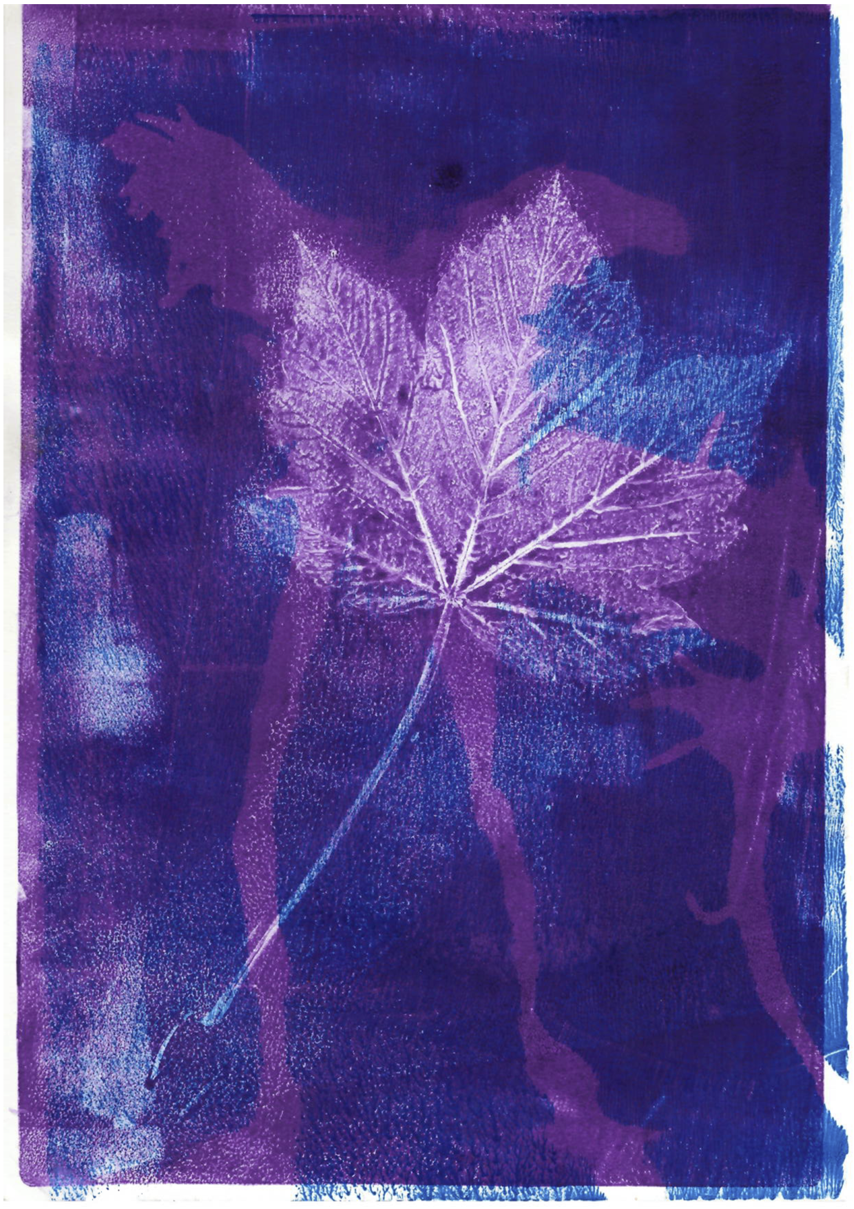 Document_260525_160544.png