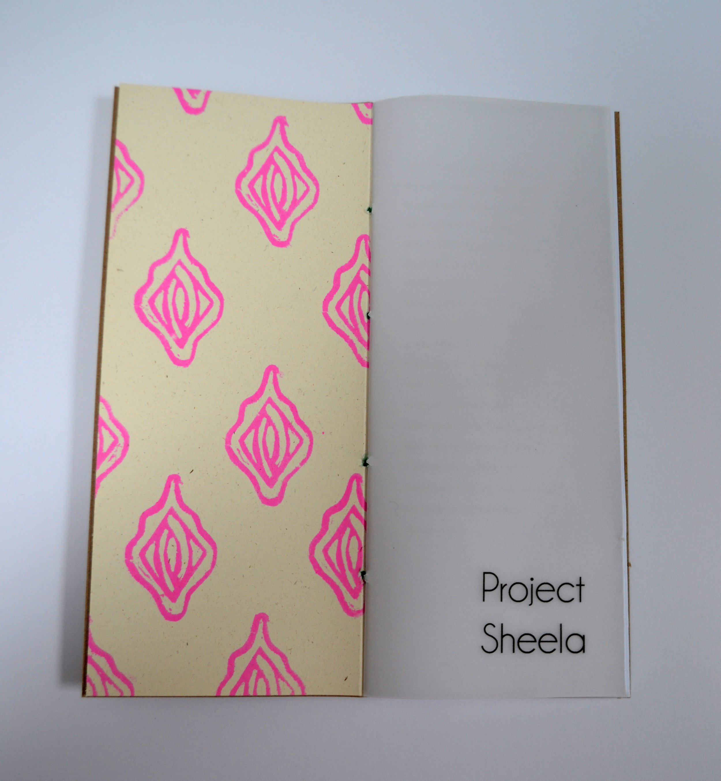 PS Zine 2020, Lino & digital prints, hand bound, 10 copies made. The zine documents all sheelas & locations.