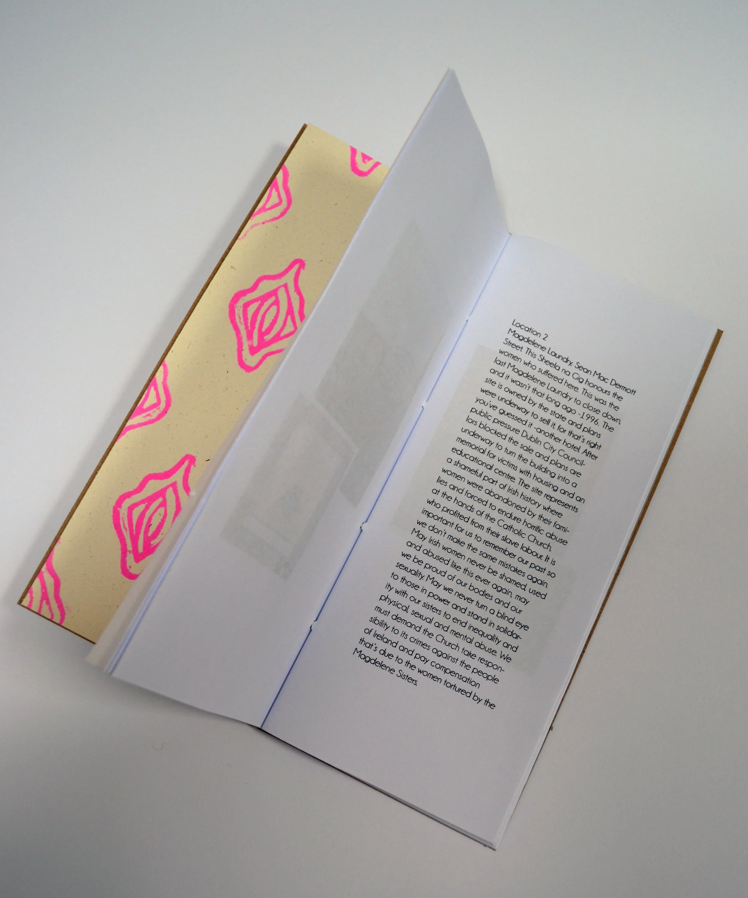 PS Zine 2020, Lino & digital prints, hand bound, 10 copies made. The zine documents all sheelas & locations.