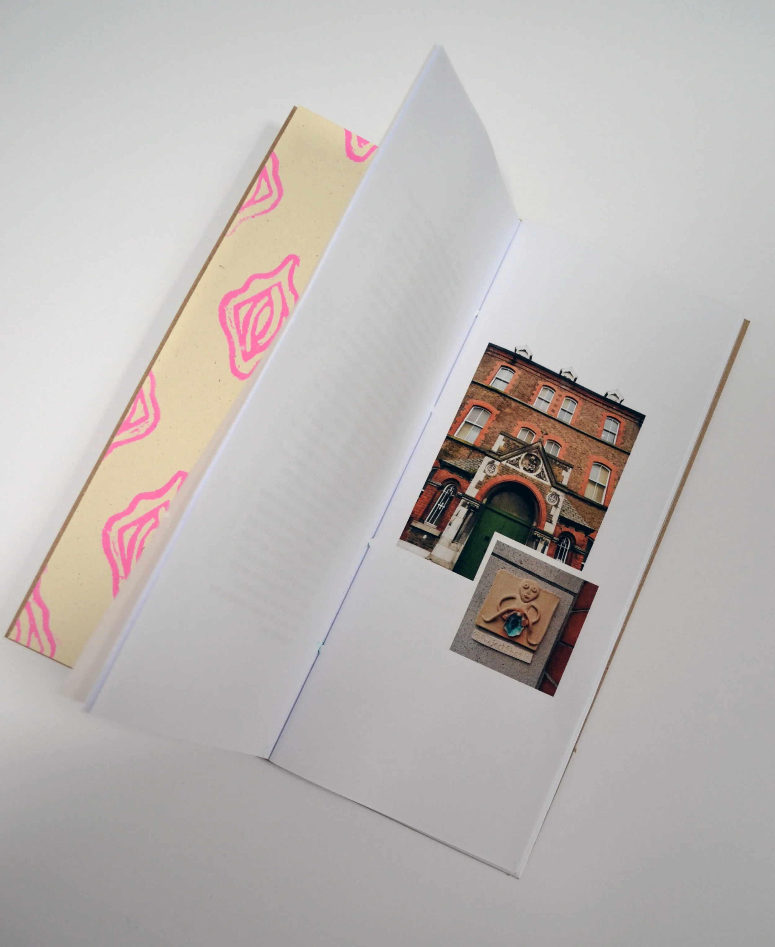 PS Zine 2020, Lino & digital prints, hand bound, 10 copies made. The zine documents all sheelas & locations.