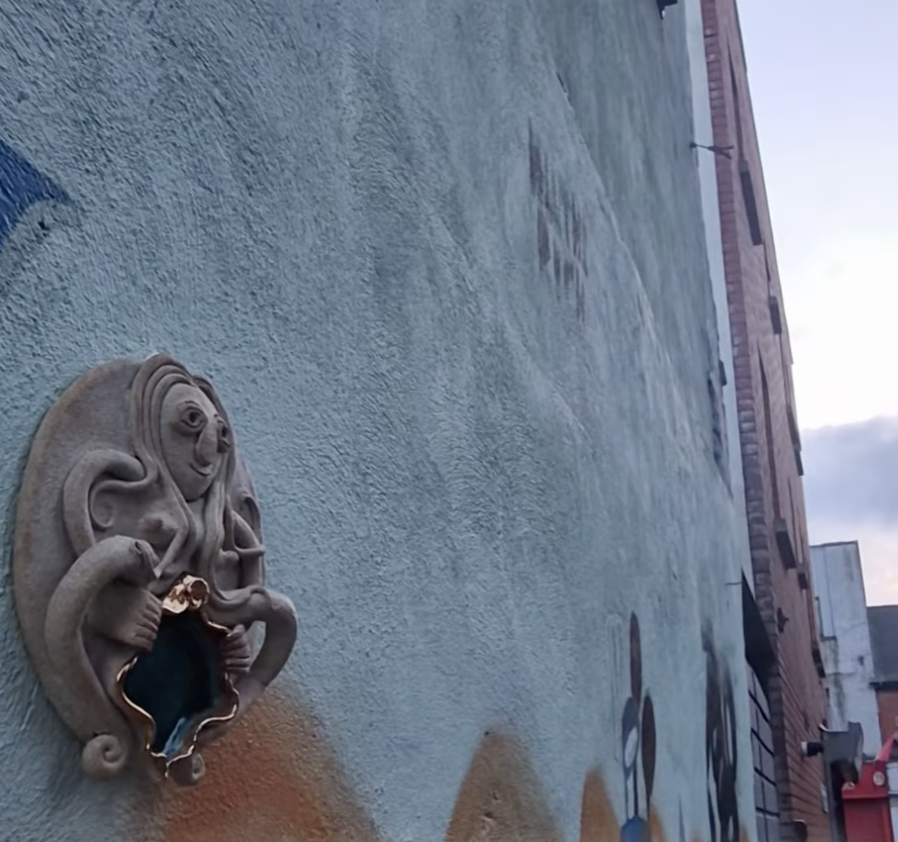 Anne Devlin, The Liberties, Dublin