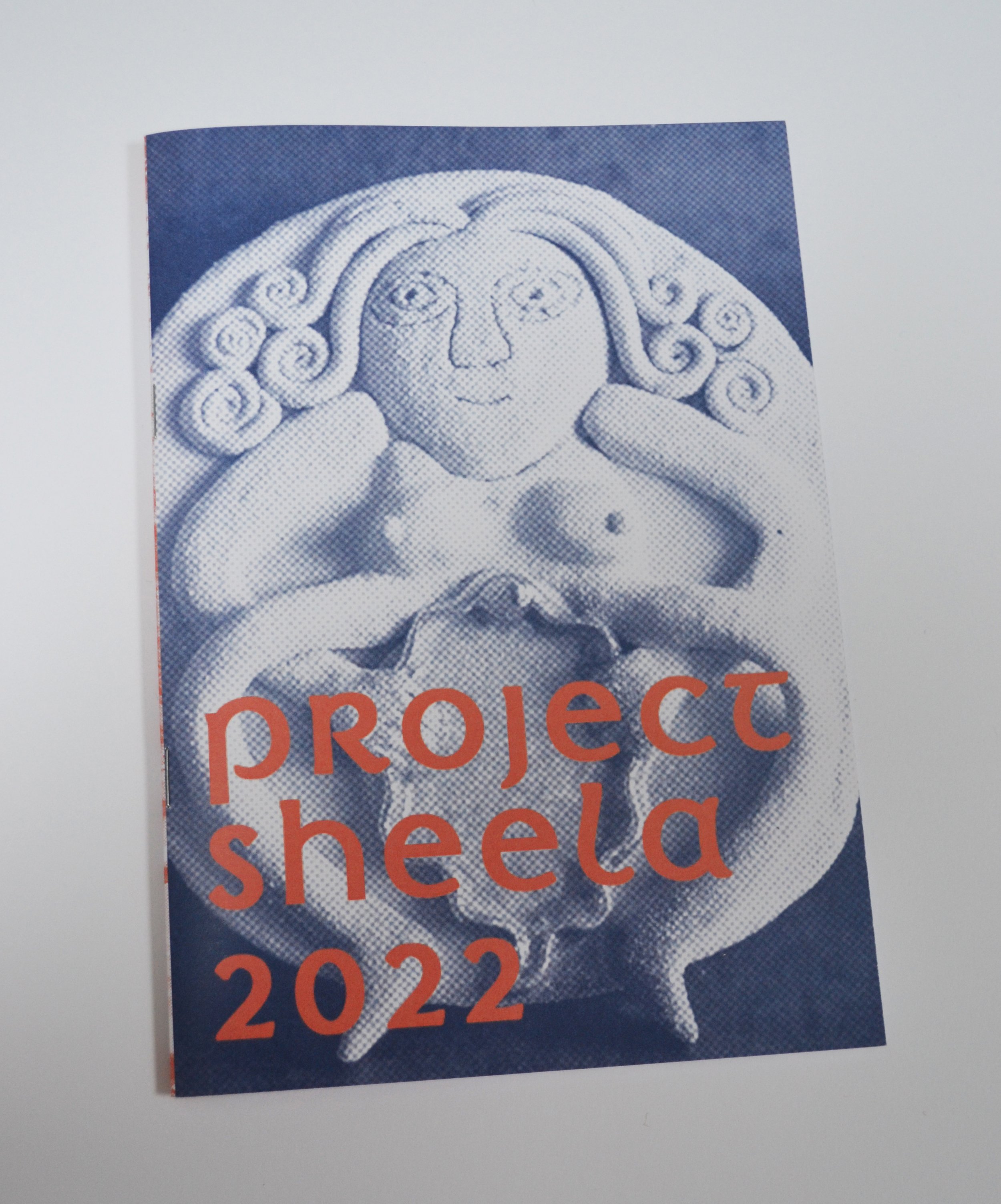 PS Zine 2023, Digital Print, 30 made. Documents all sheelas & locations from 2023.