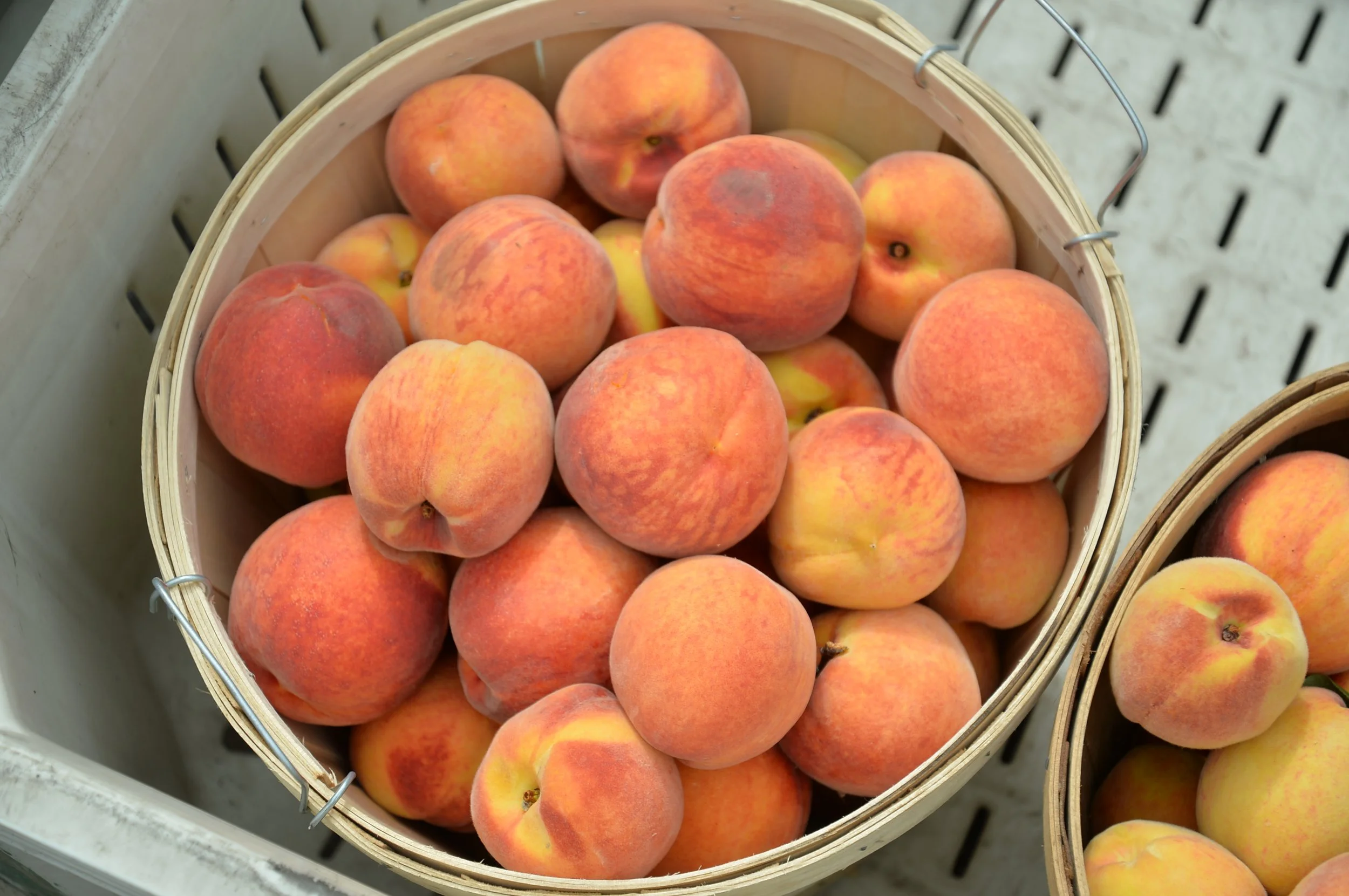 peaches.JPG