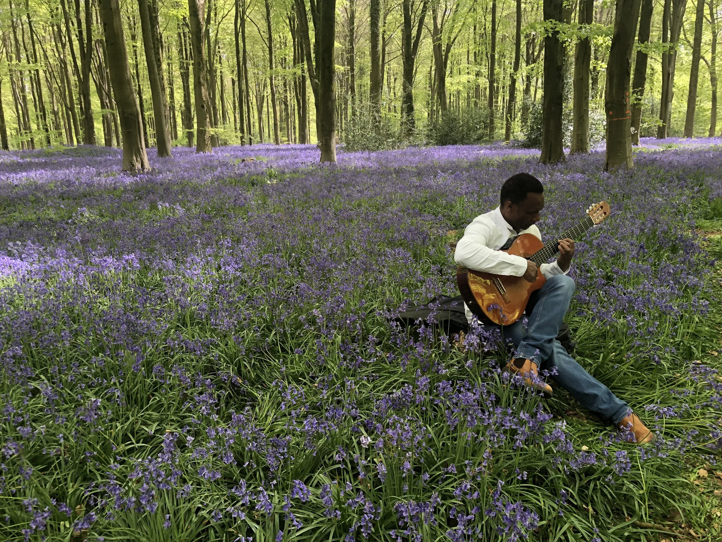 Person playing guitar while sitting in a field of bluebell flowers in a forest.