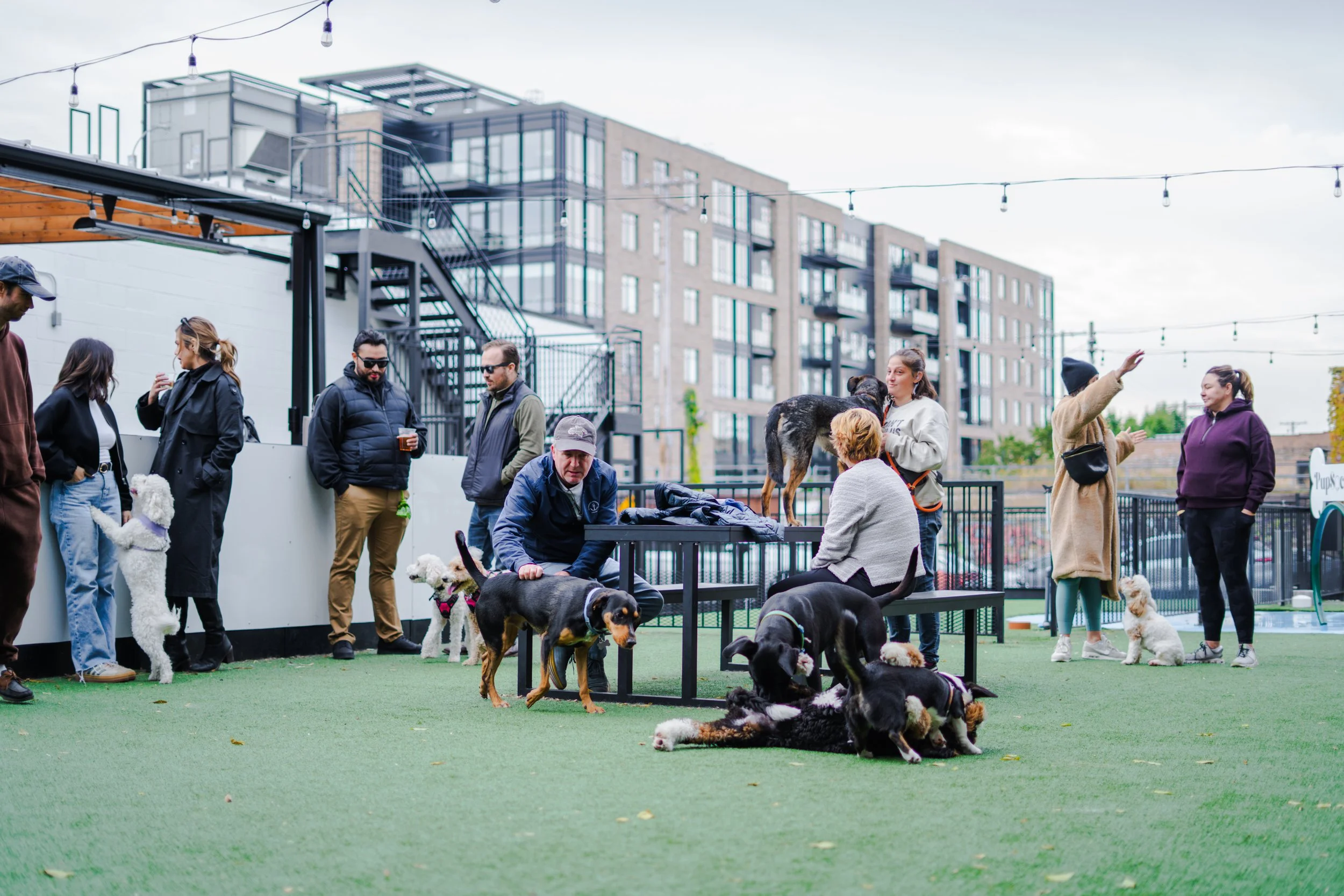 People and dogs at a dog-friendly outdoor social gathering on a rooftop with modern apartment buildings in the background.
