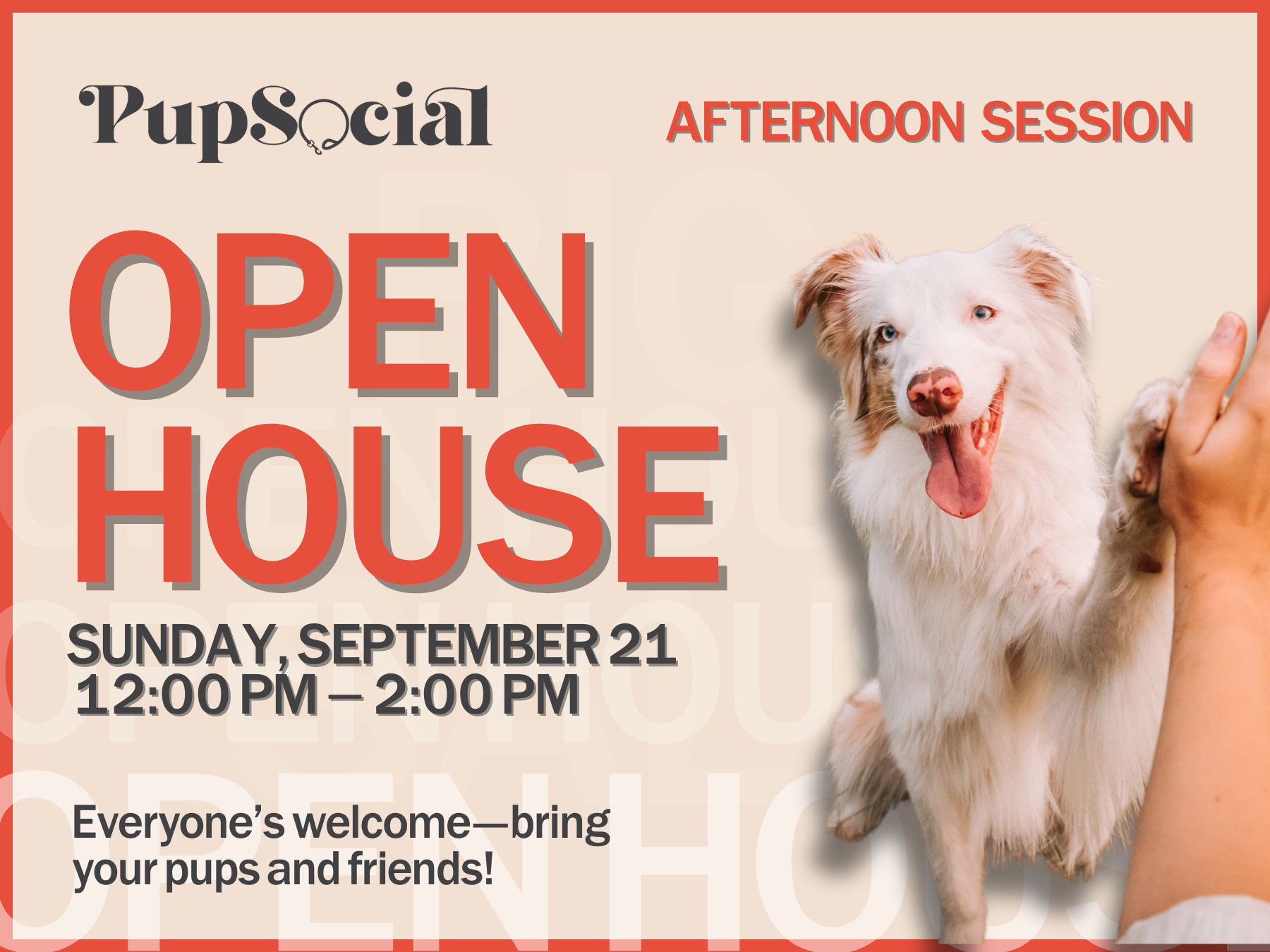 OPEN HOUSE PLAYTIME (AFTERNOON)