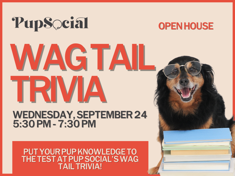 WAG TAIL TRIVIA
