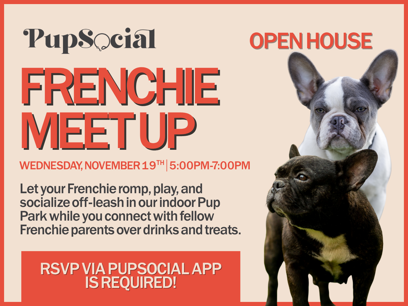 FRENCHIE MEET UP