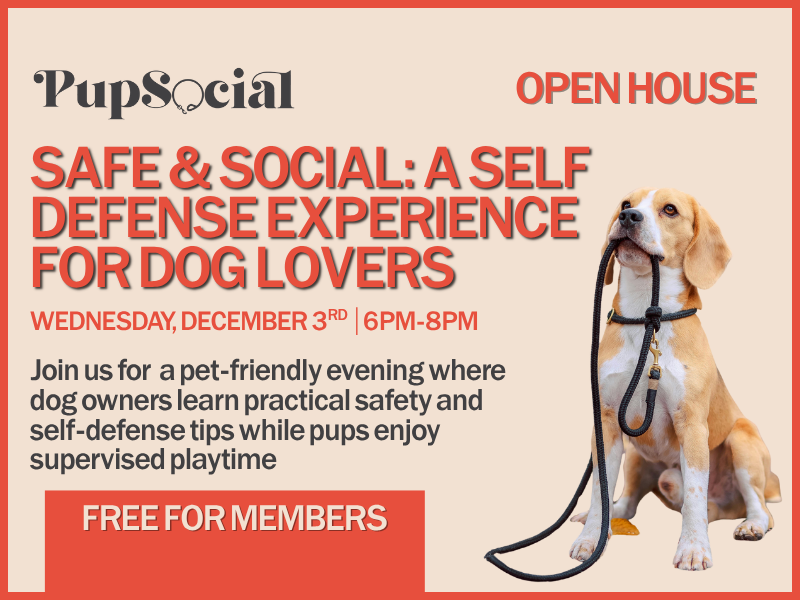 Safe &amp; Social: A Self Defense Experience for Dog Lovers&nbsp;