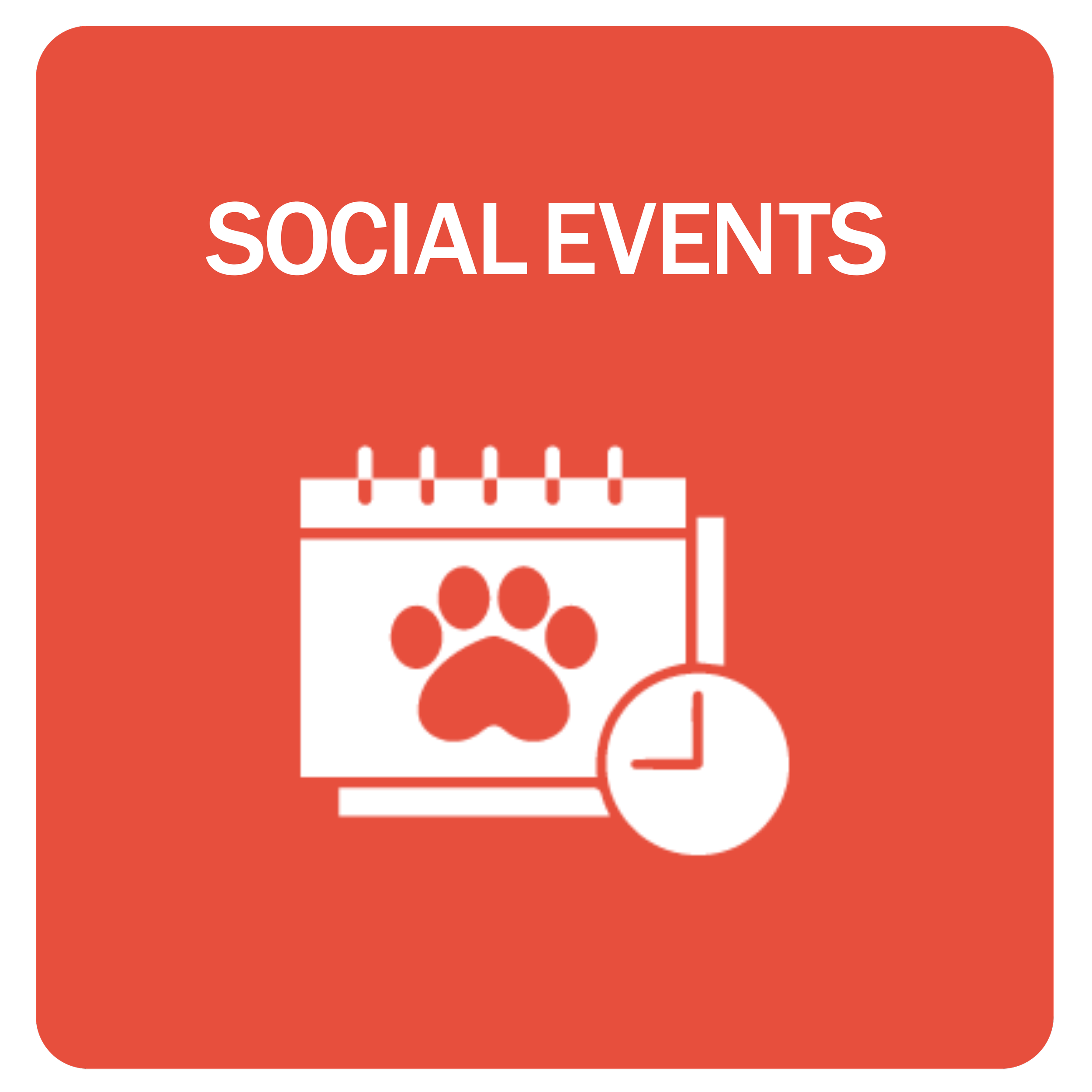Pup Social Events.png