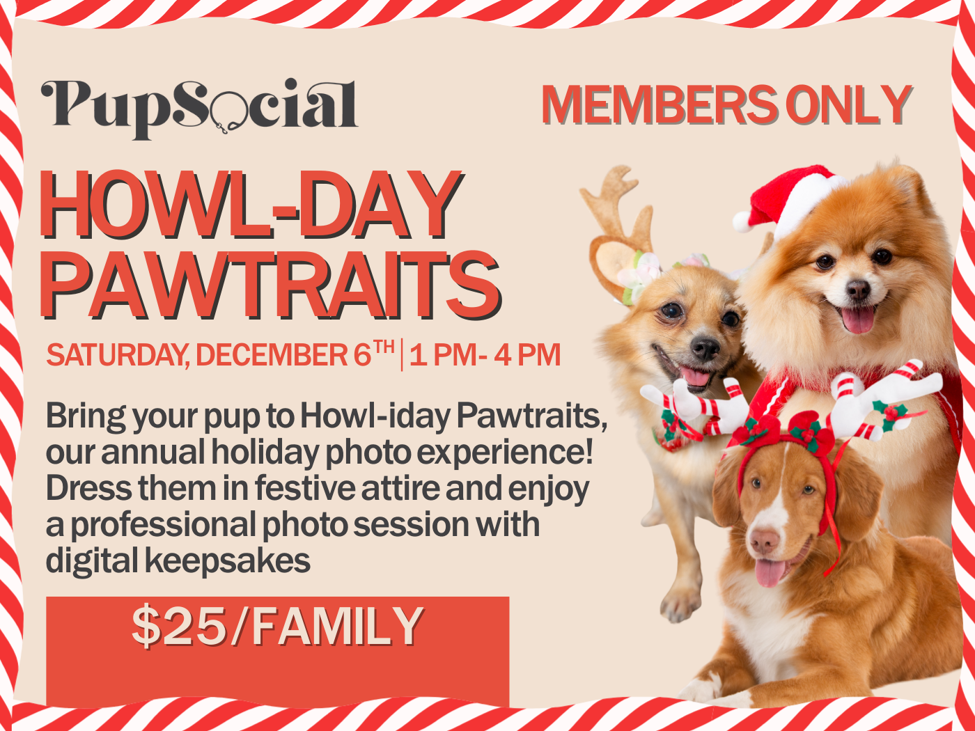 HOWL-DAY PAWTRAITS&nbsp;&nbsp;