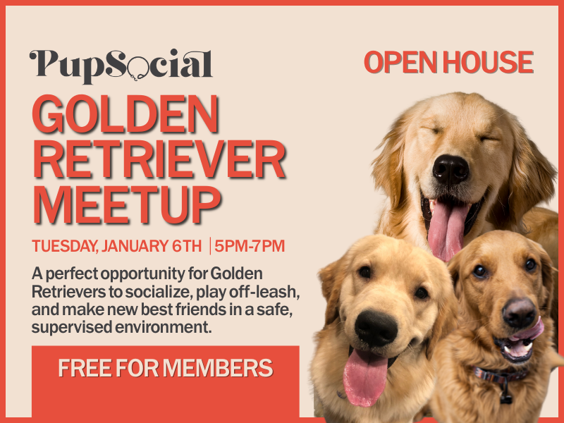 Golden Retriever Meetup