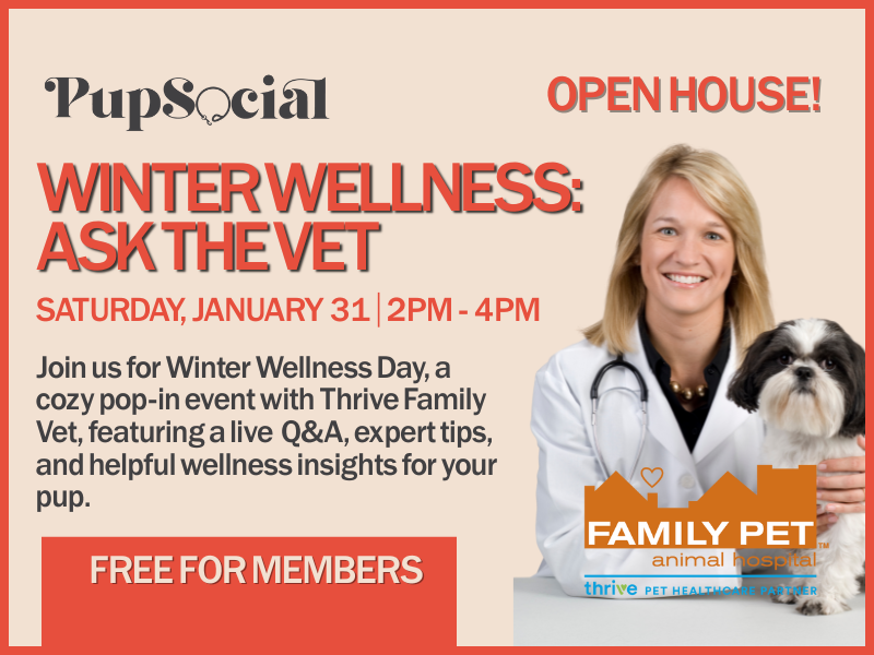 Winter Wellness: Ask the Vet