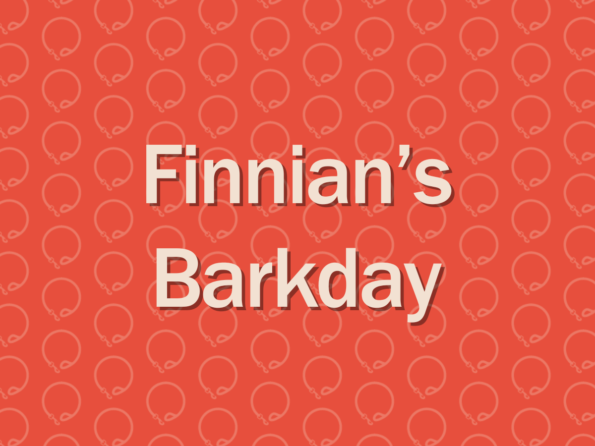 Finnian's Barkday 