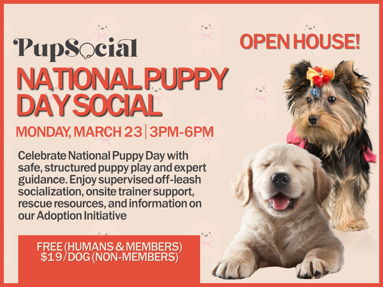 NATIONAL PUPPY DAY SOCIAL