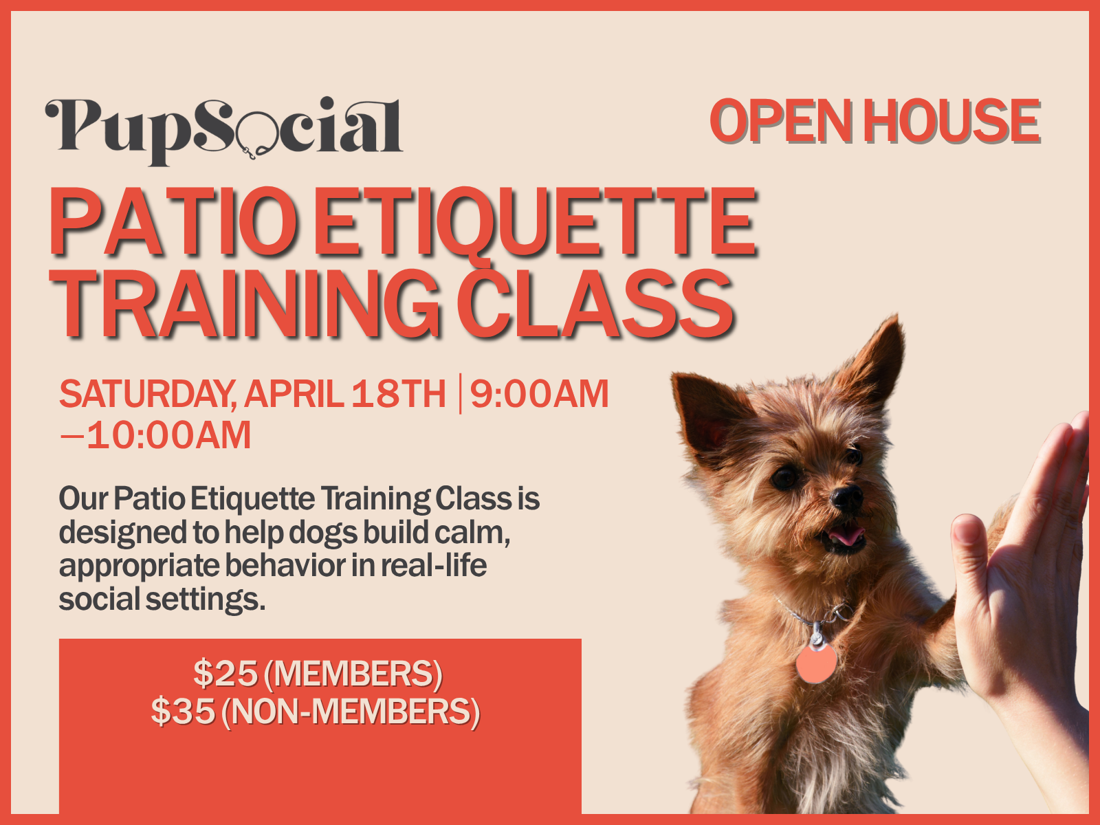 Patio Etiquette Training Class Session One