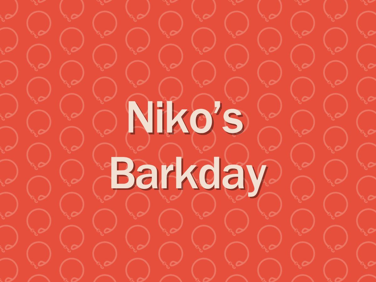 Niko's Barkday 