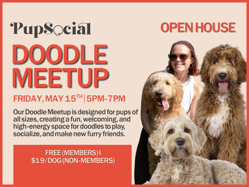 Doodle Meetup