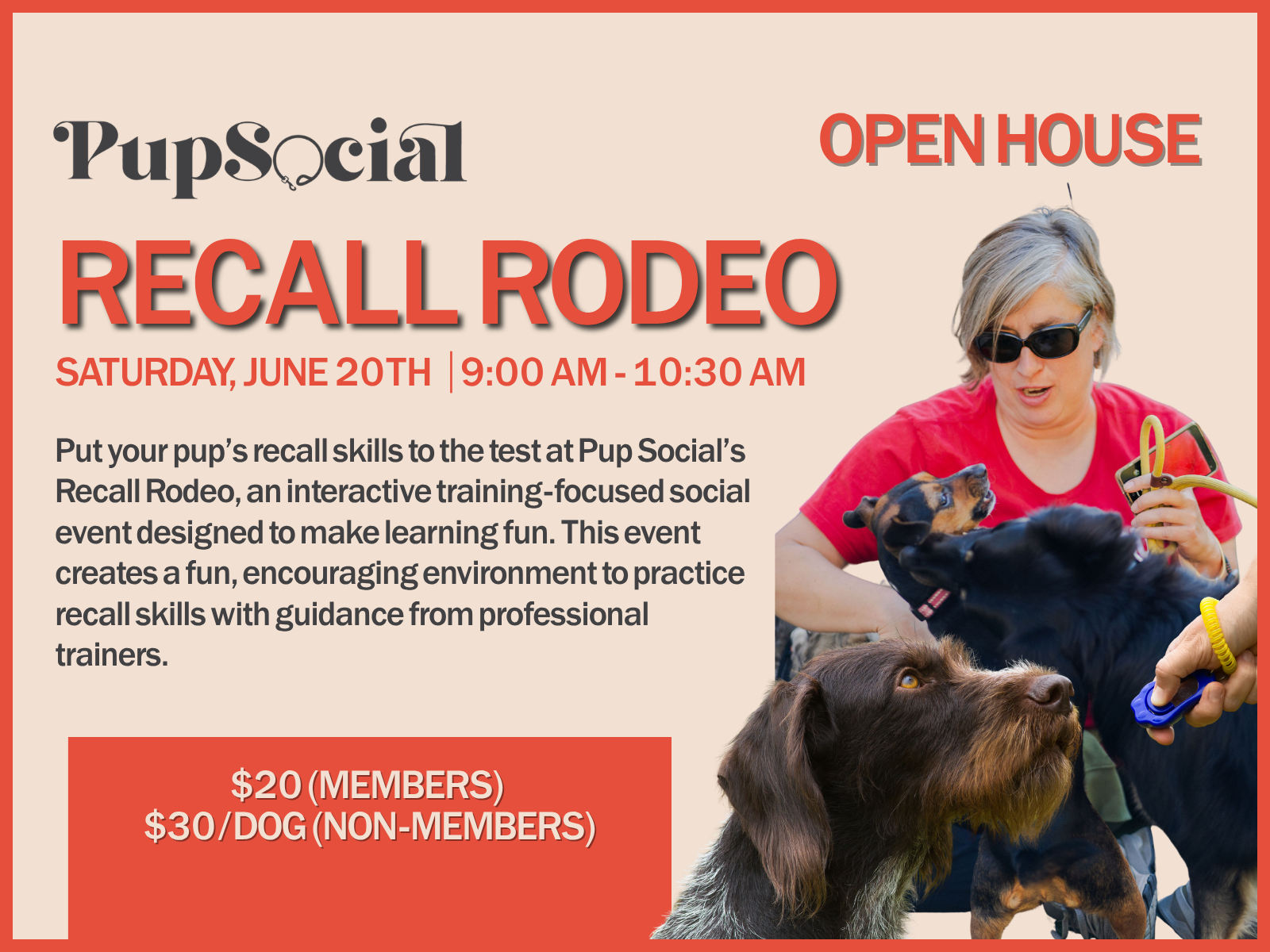 RECALL RODEO 