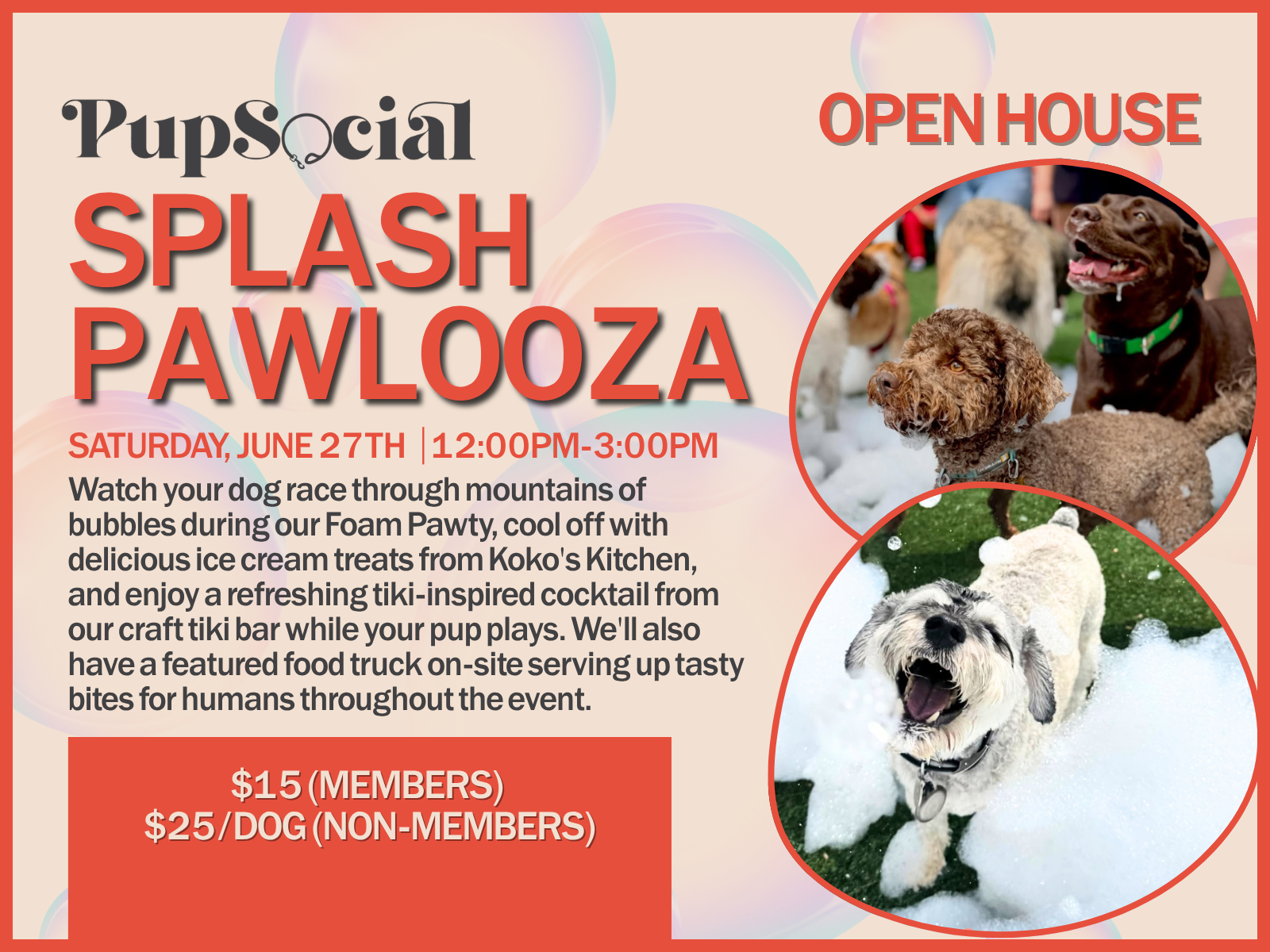 Splash Pawlooza 