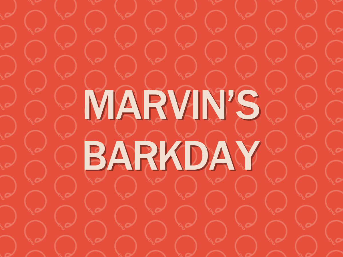 Marvin's Barkday