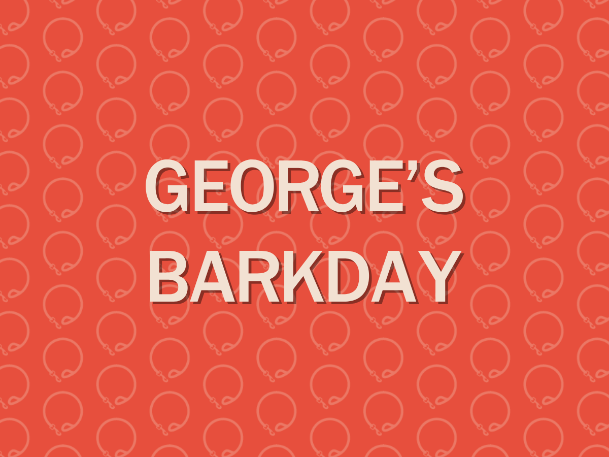 George's Barkday