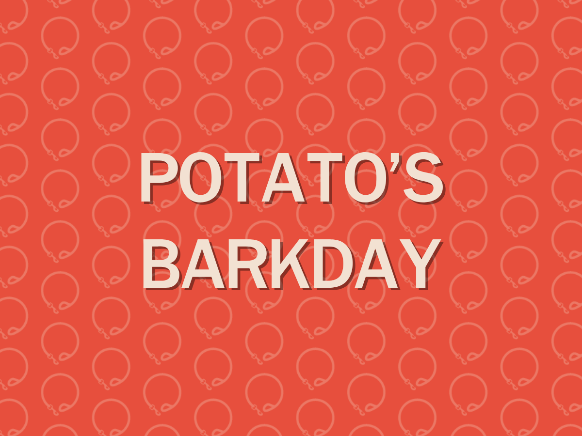 Potato's Barkday